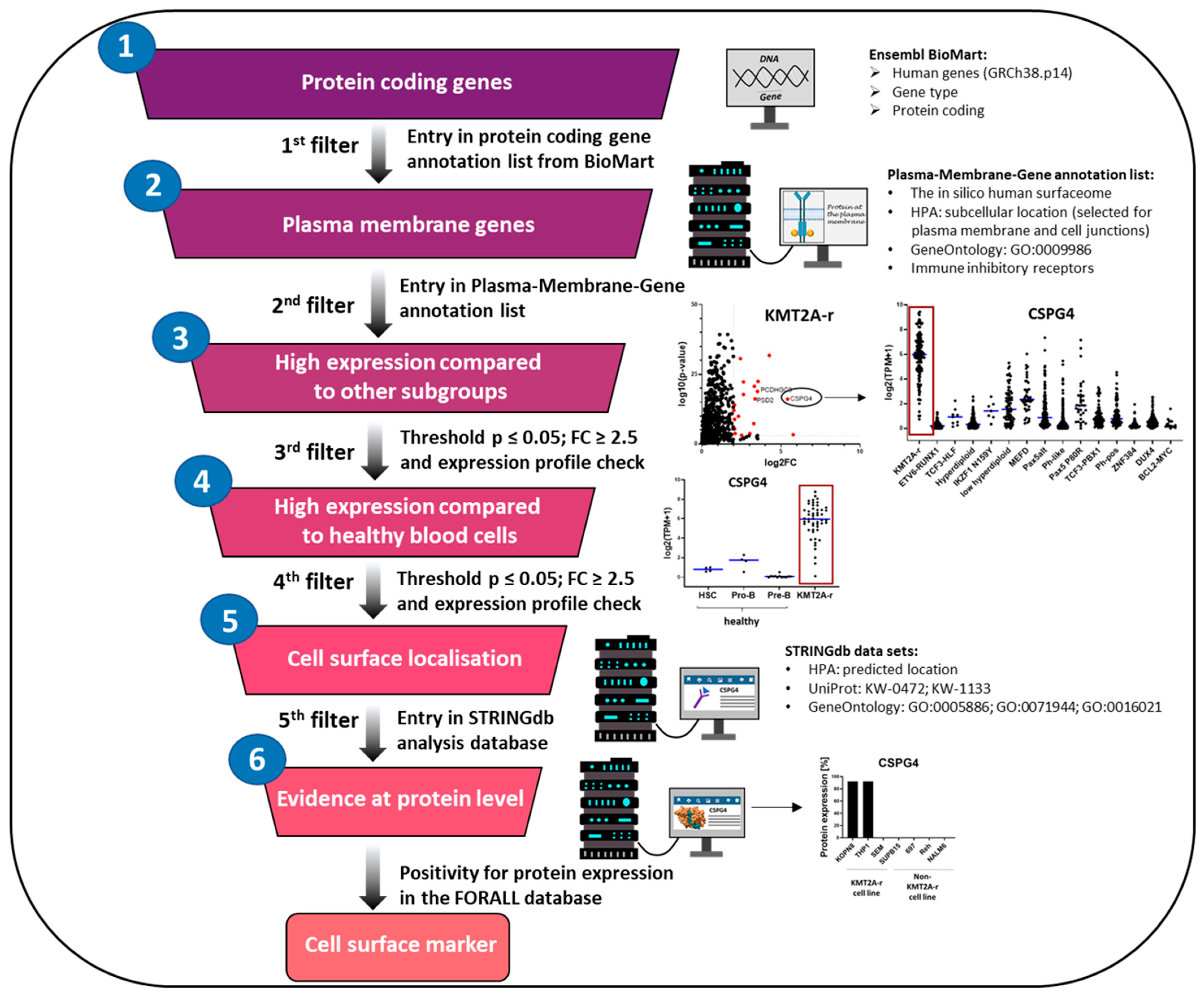 Lymphatics 03 00033 g003