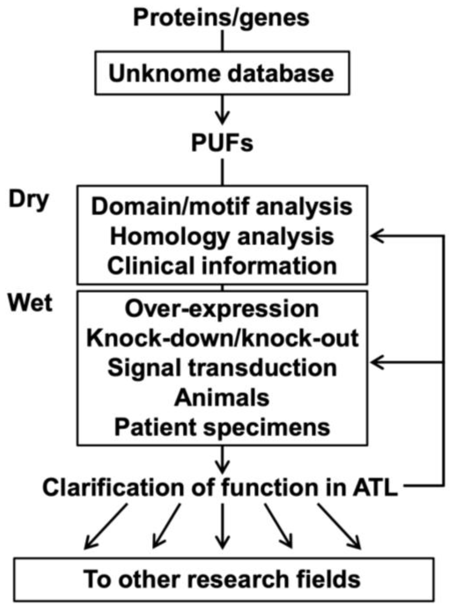 Lymphatics 03 00038 g003