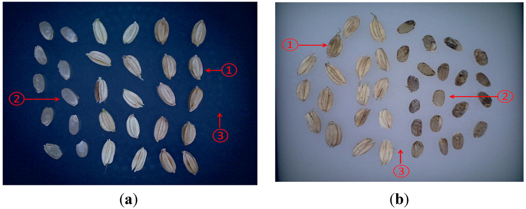 Machines 03 00352 g007 1024