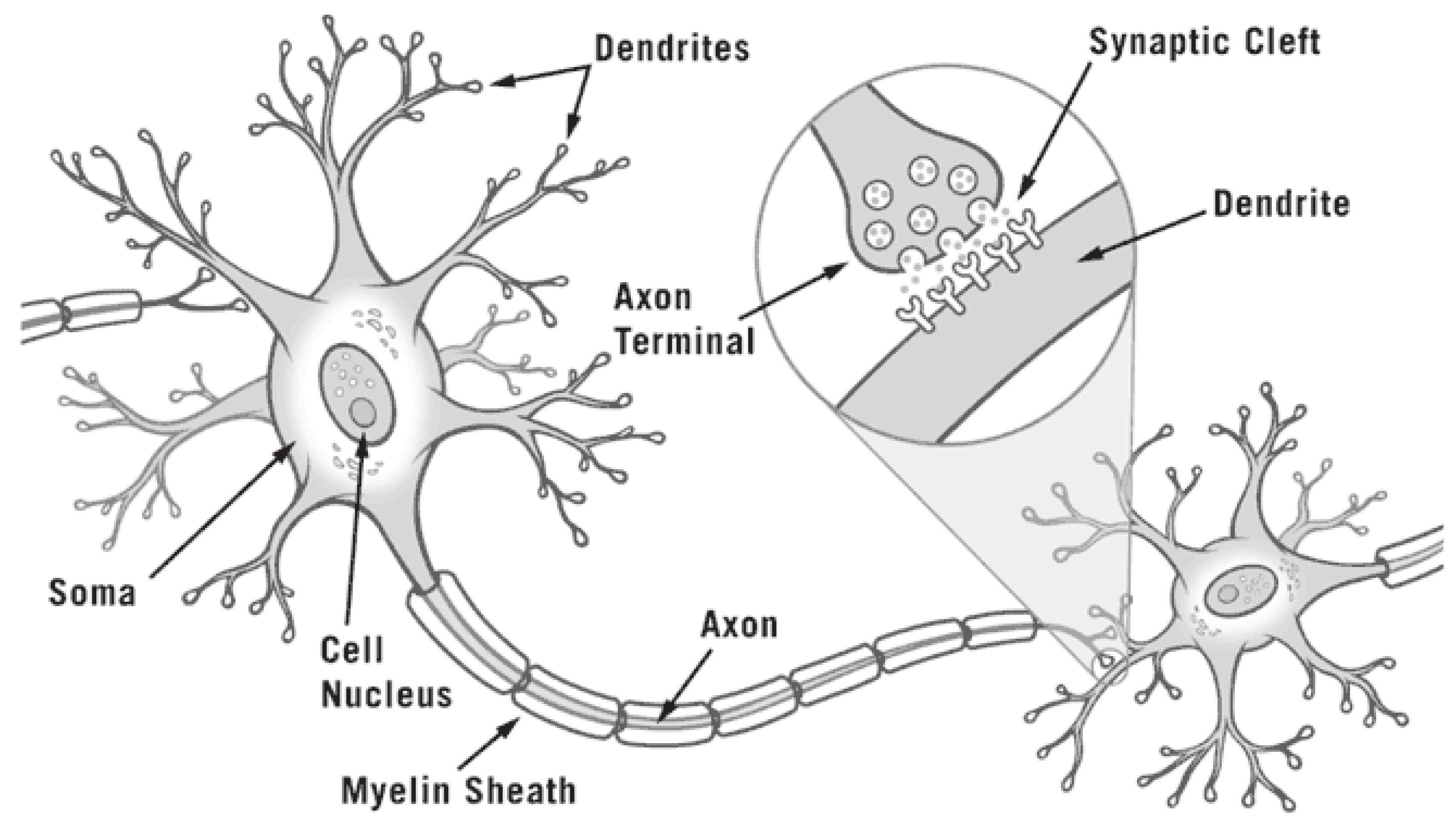 Machines 05 00016 g001