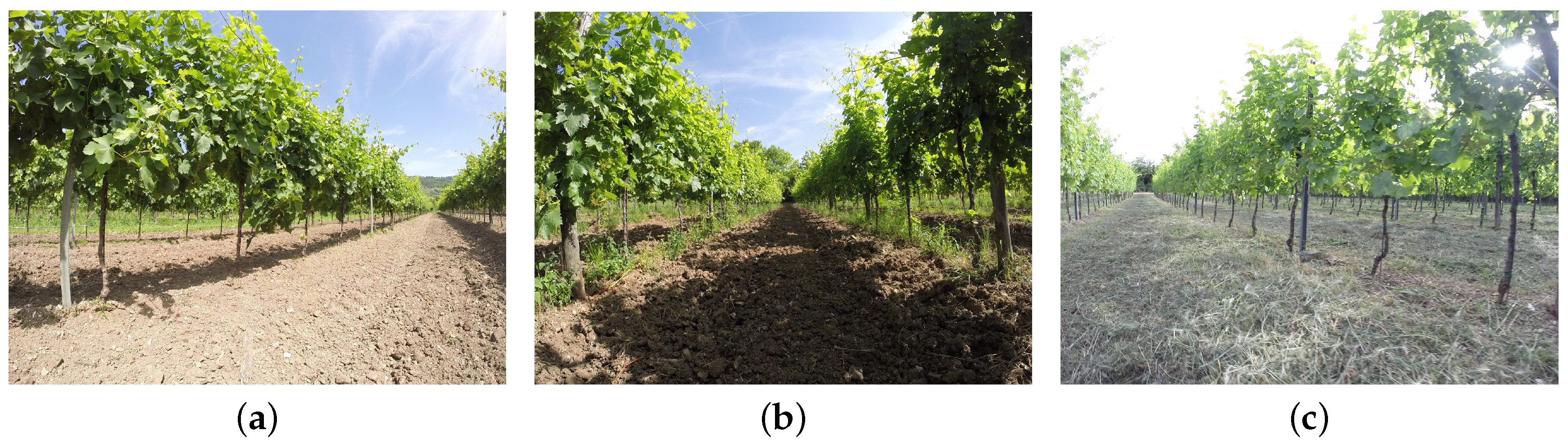 Machines 08 00027 g005