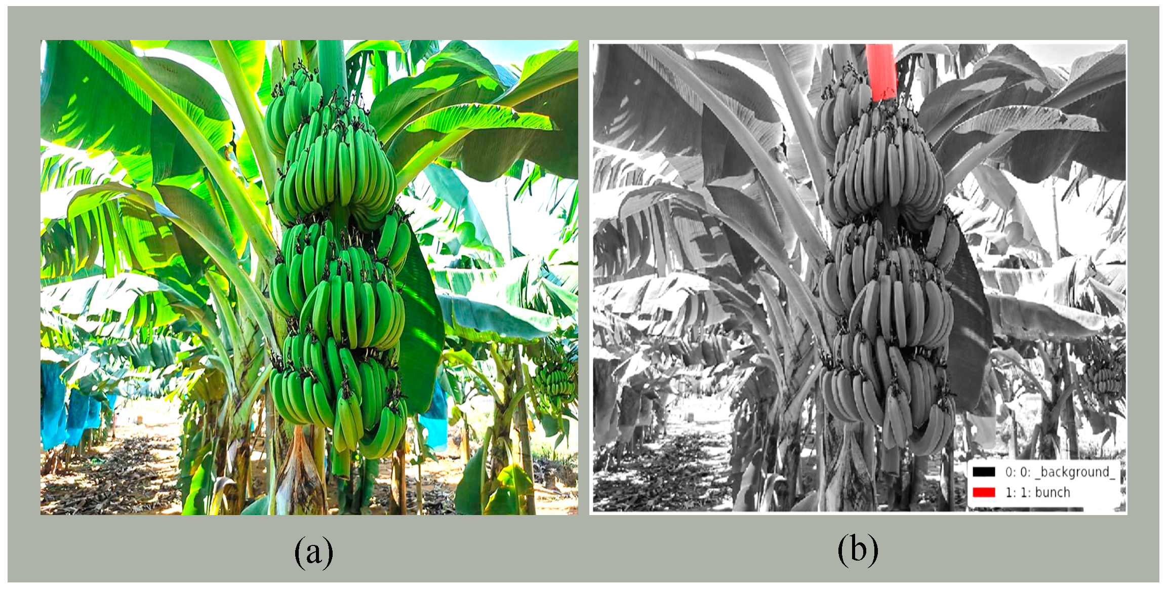 Machines 09 00066 g001