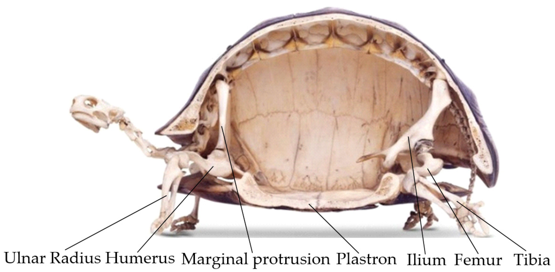 Machines 09 00086 g001