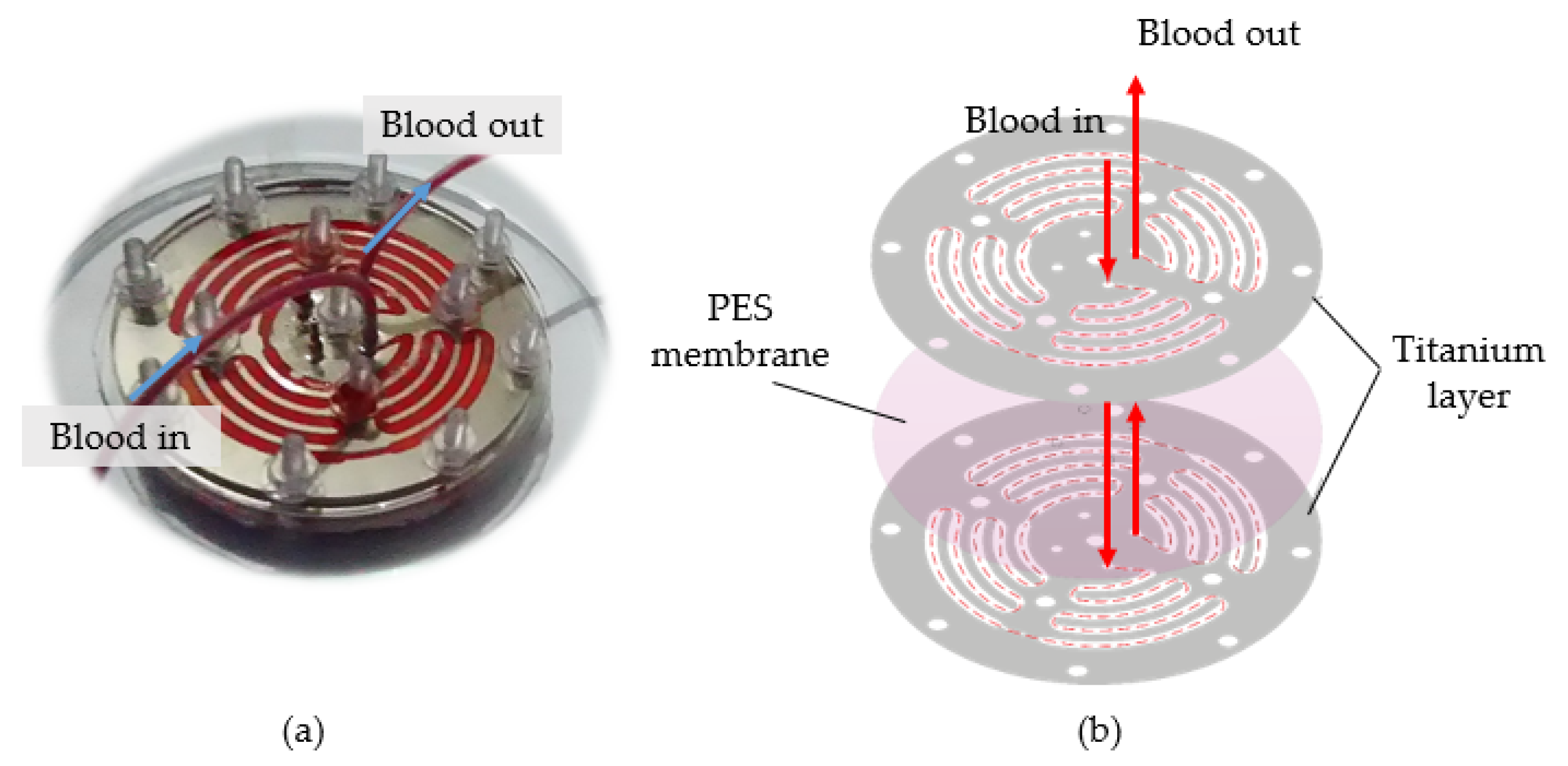 Machines 09 00325 g009 Machines 09 00325 g009