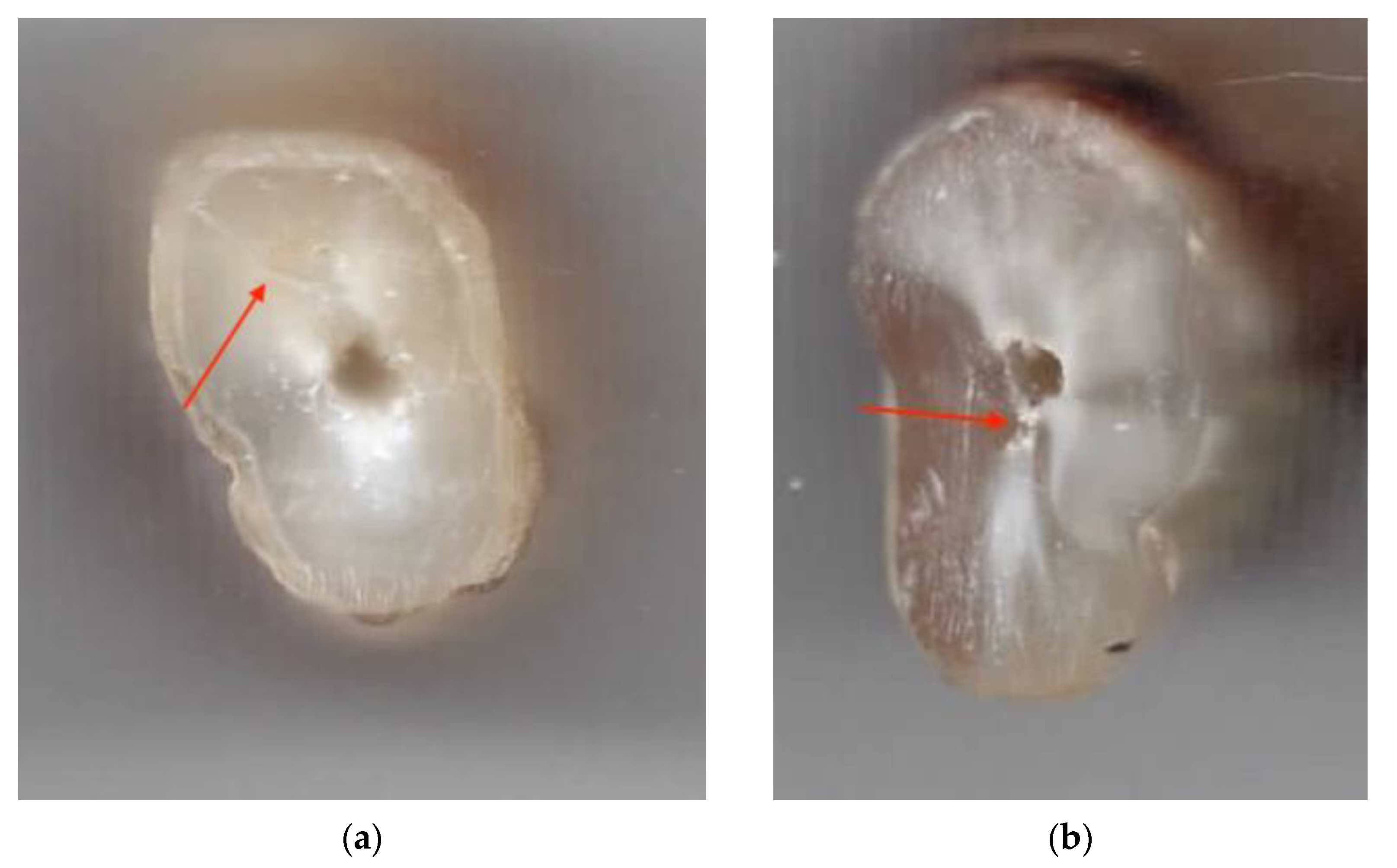 Machines 09 00332 g001