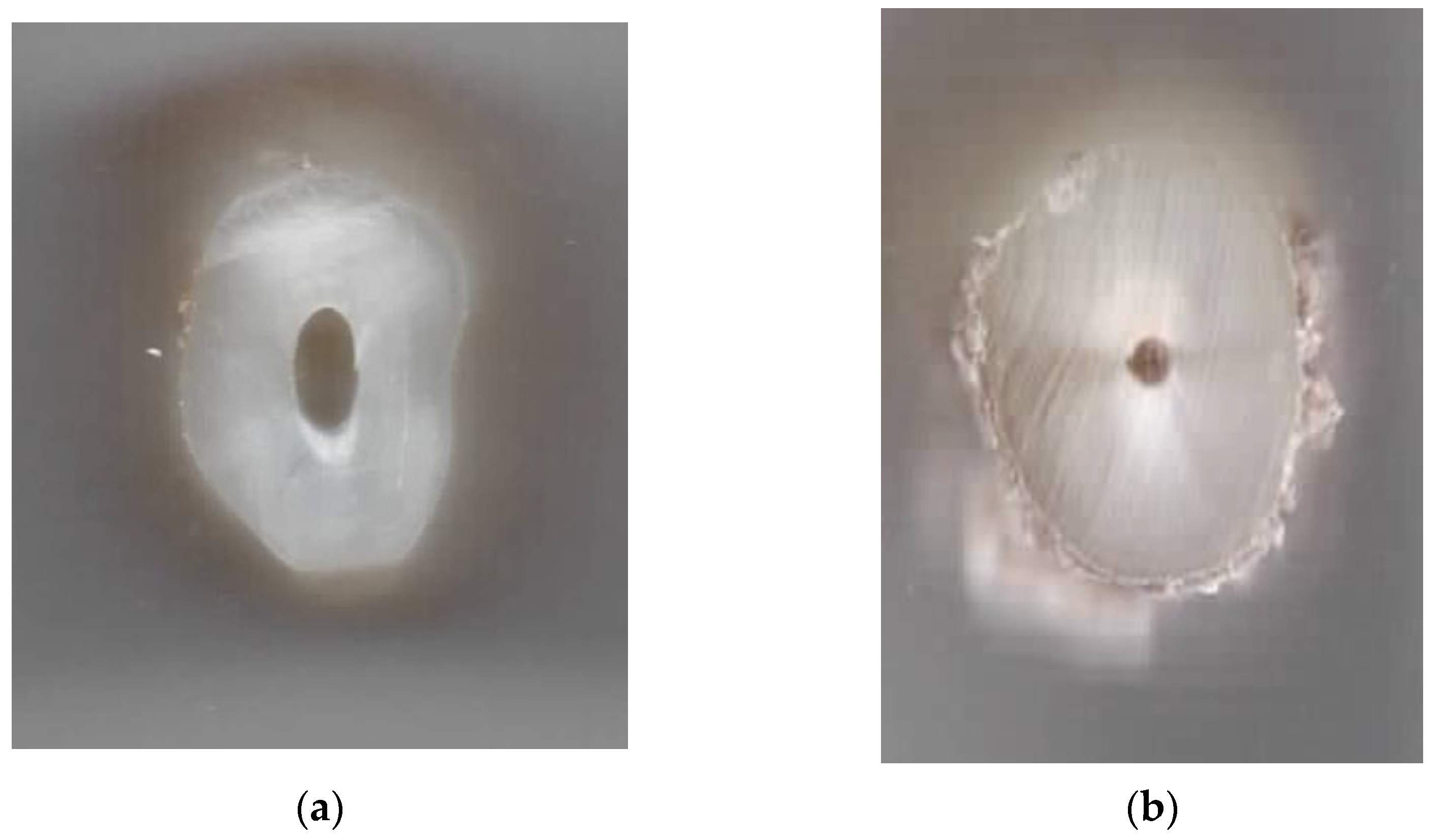 Machines 09 00332 g002