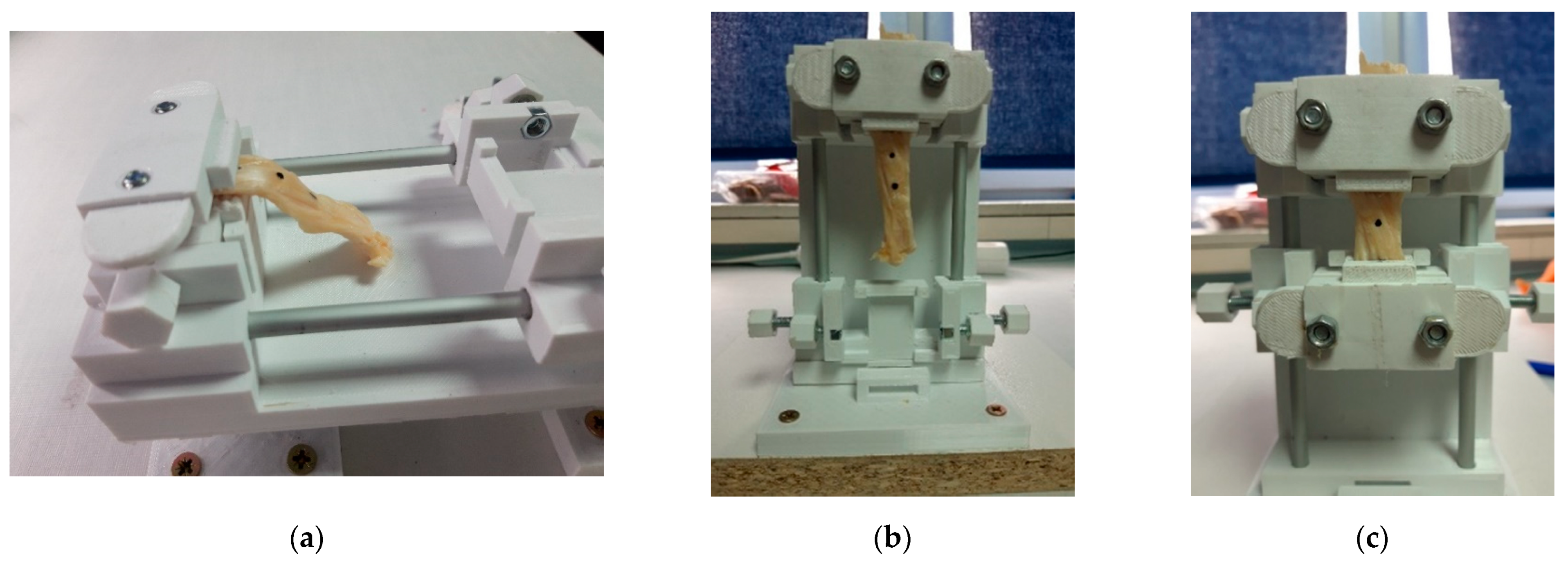 Machines 09 00364 g012