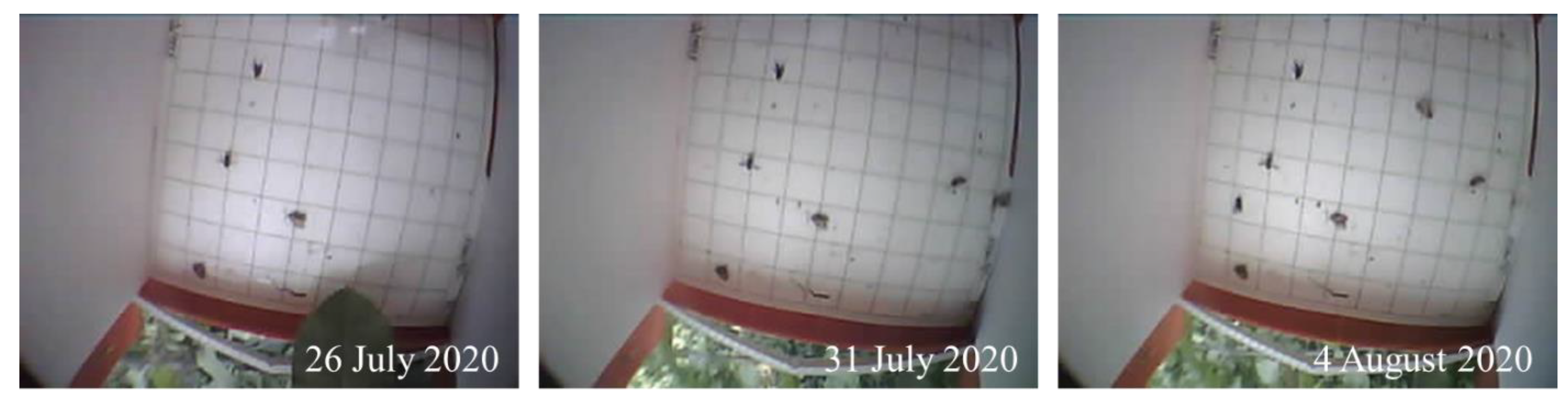 Machines 10 00052 g005