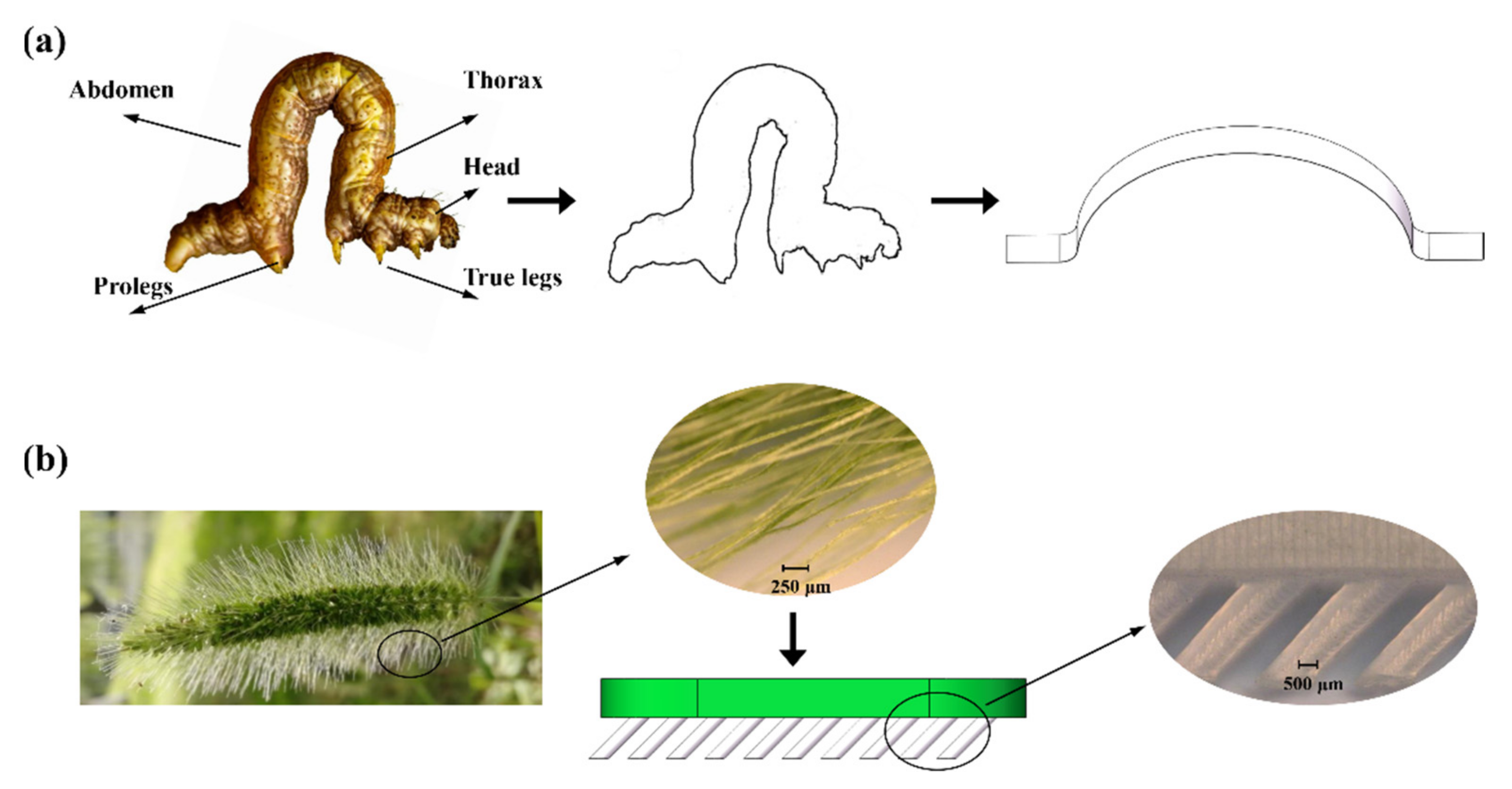 Machines 10 00142 g001