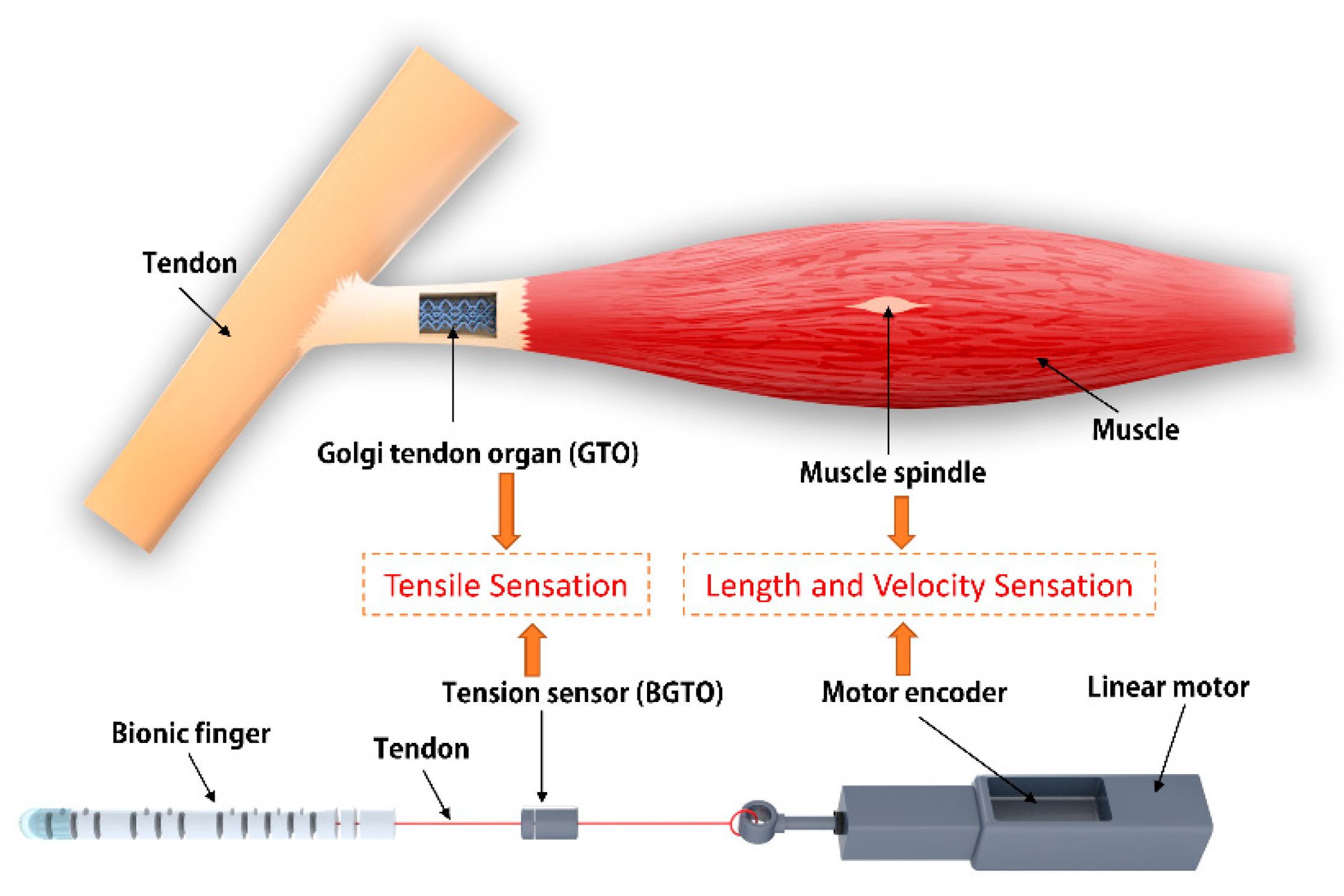 Machines 10 00173 g001