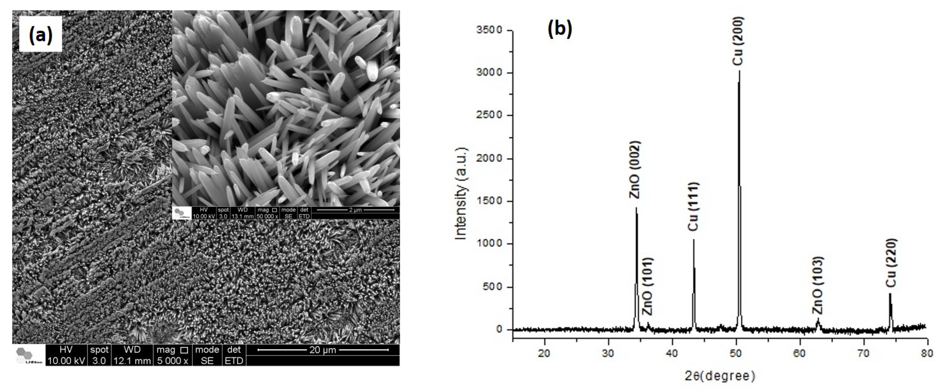 Machines 10 00215 g004