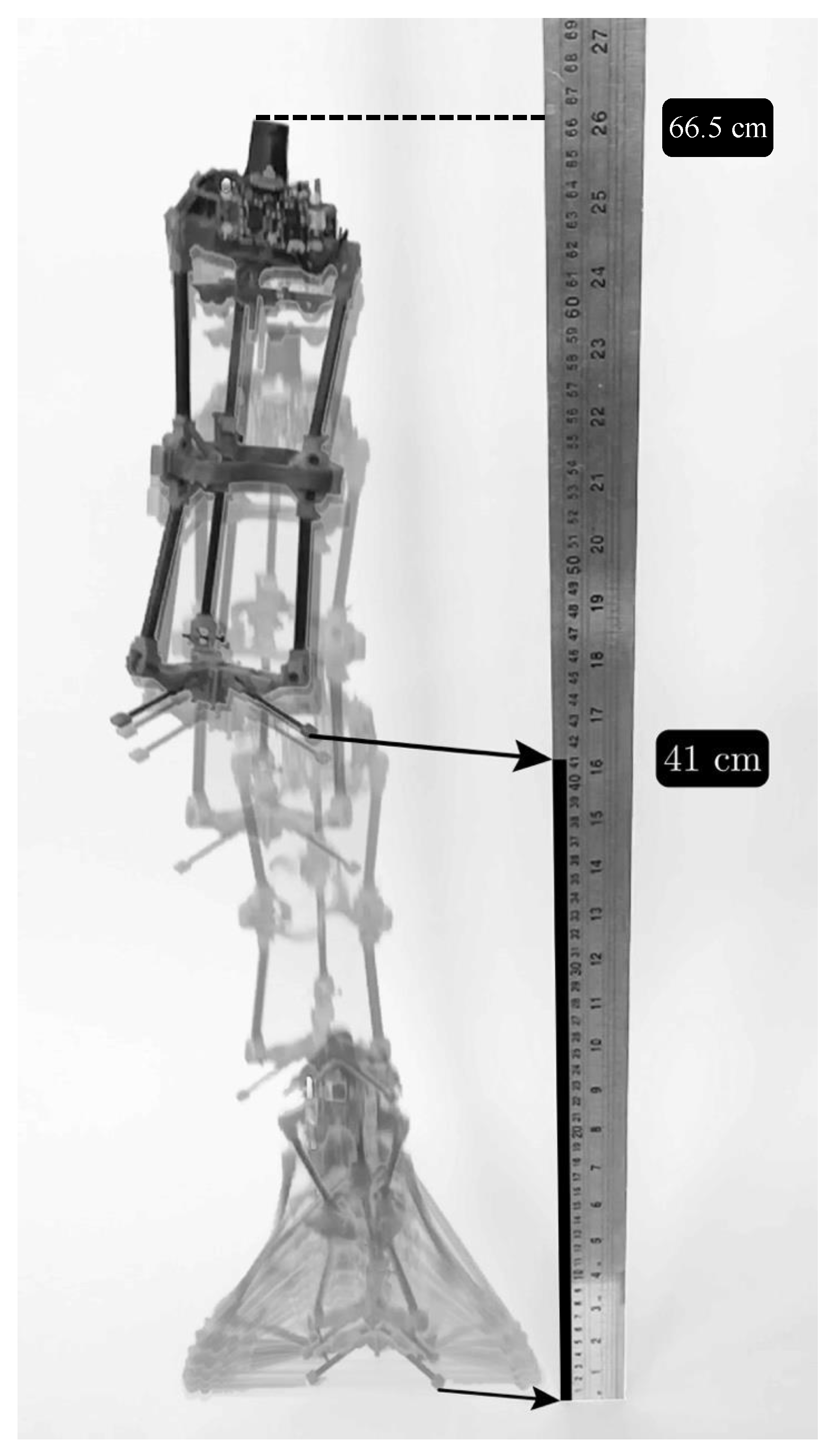 Machines 10 00299 g001