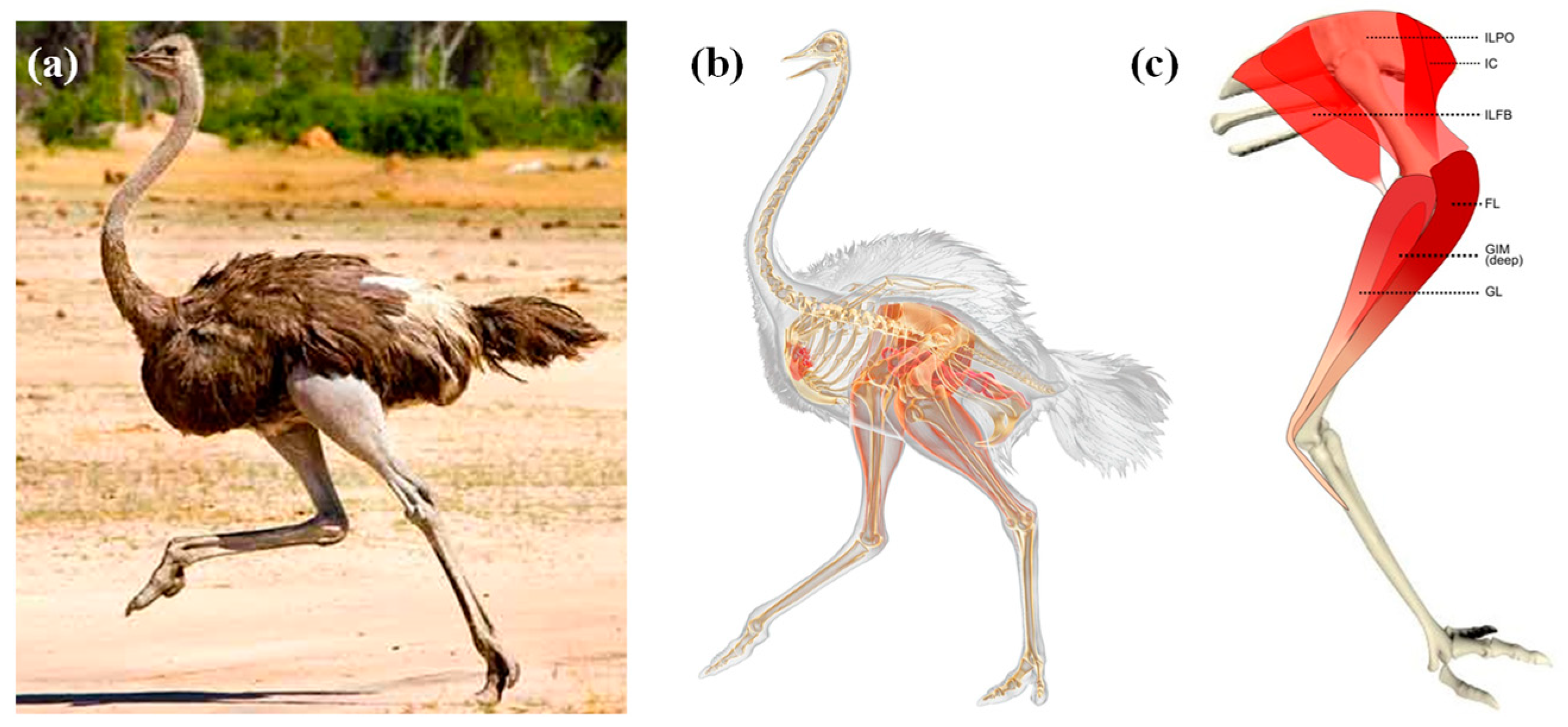 Machines 10 00306 g001