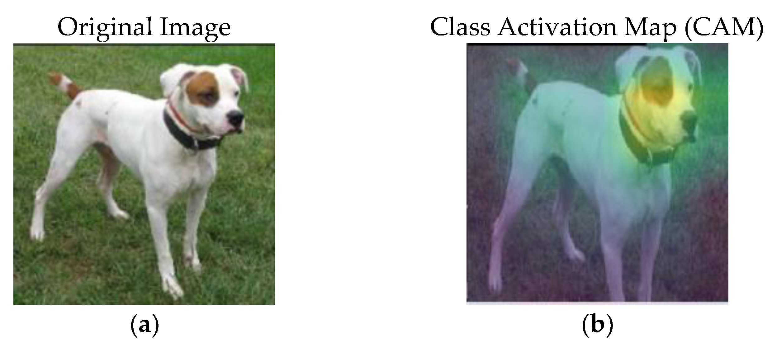 Machines 10 00340 g004