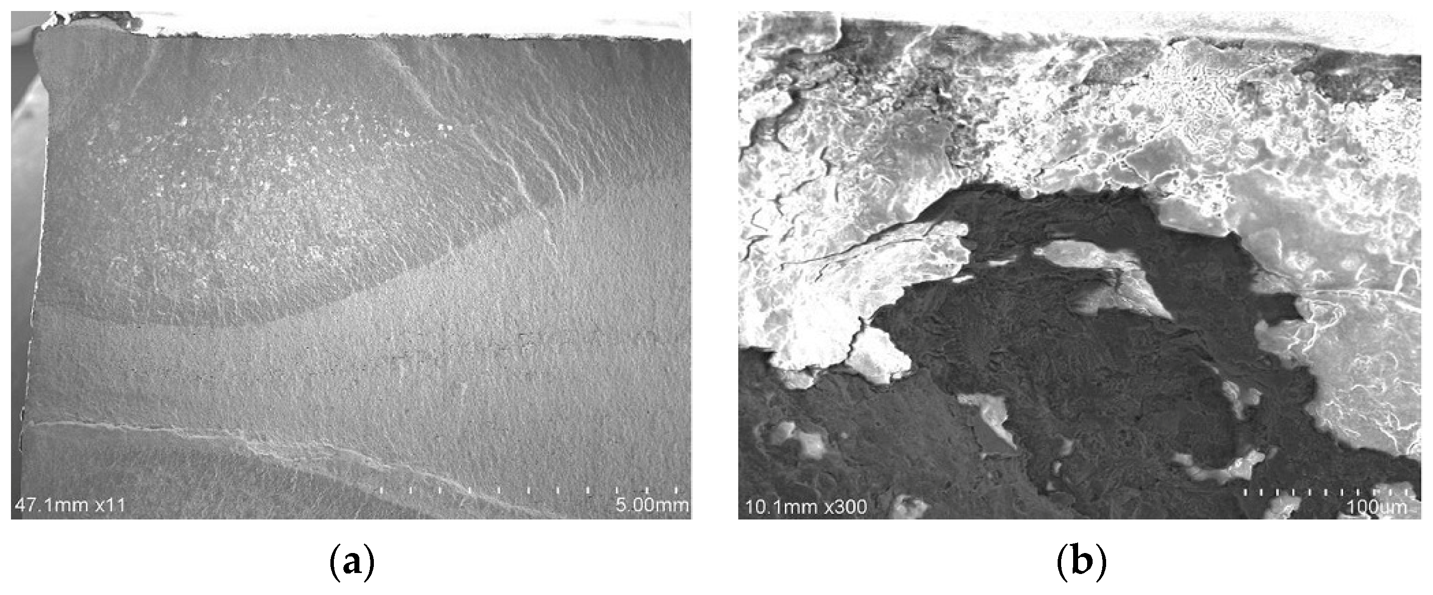 Machines 10 00397 g003