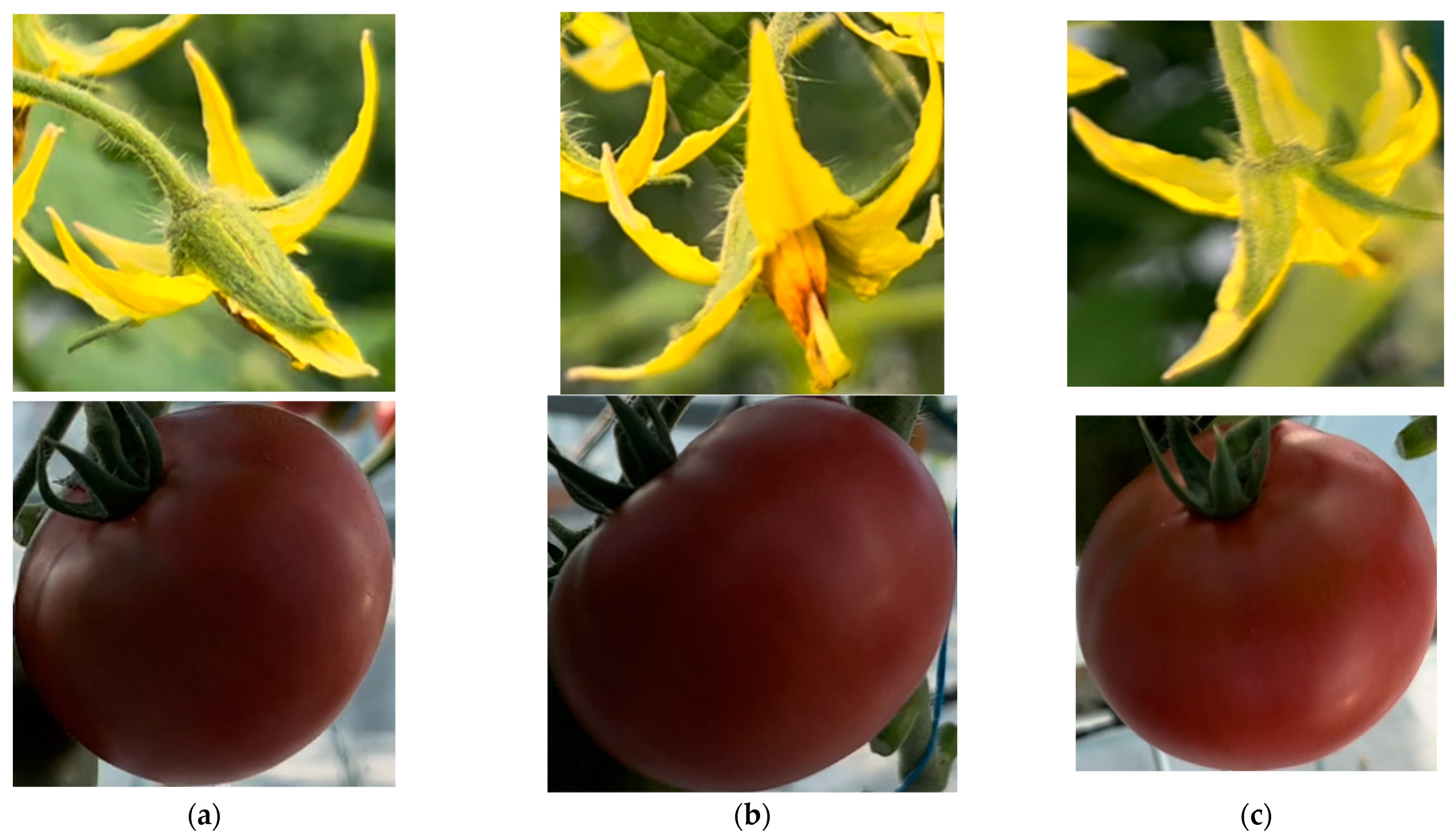 Machines 10 00489 g005