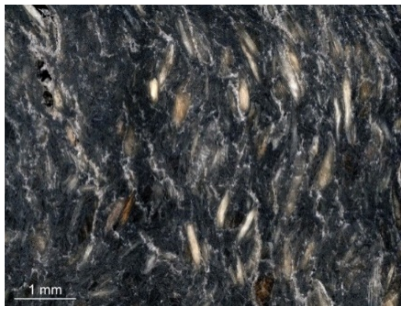 Machines 10 00566 g002