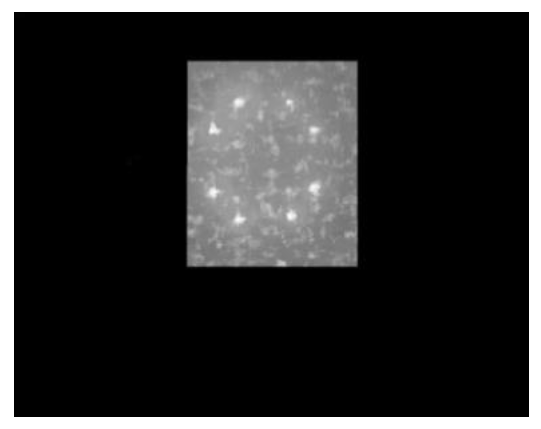 Machines 10 00571 g013