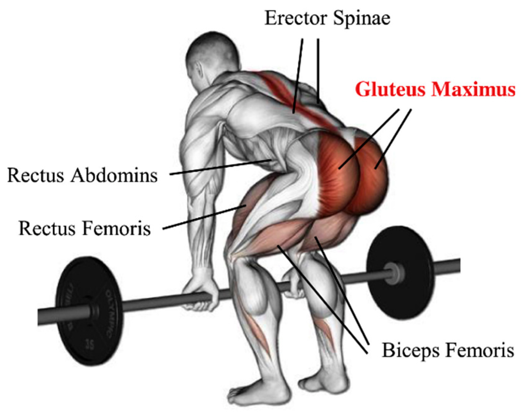 Machines 10 00584 g001