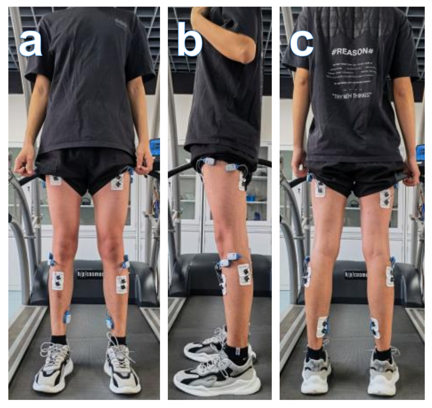 Machines 10 00585 g004