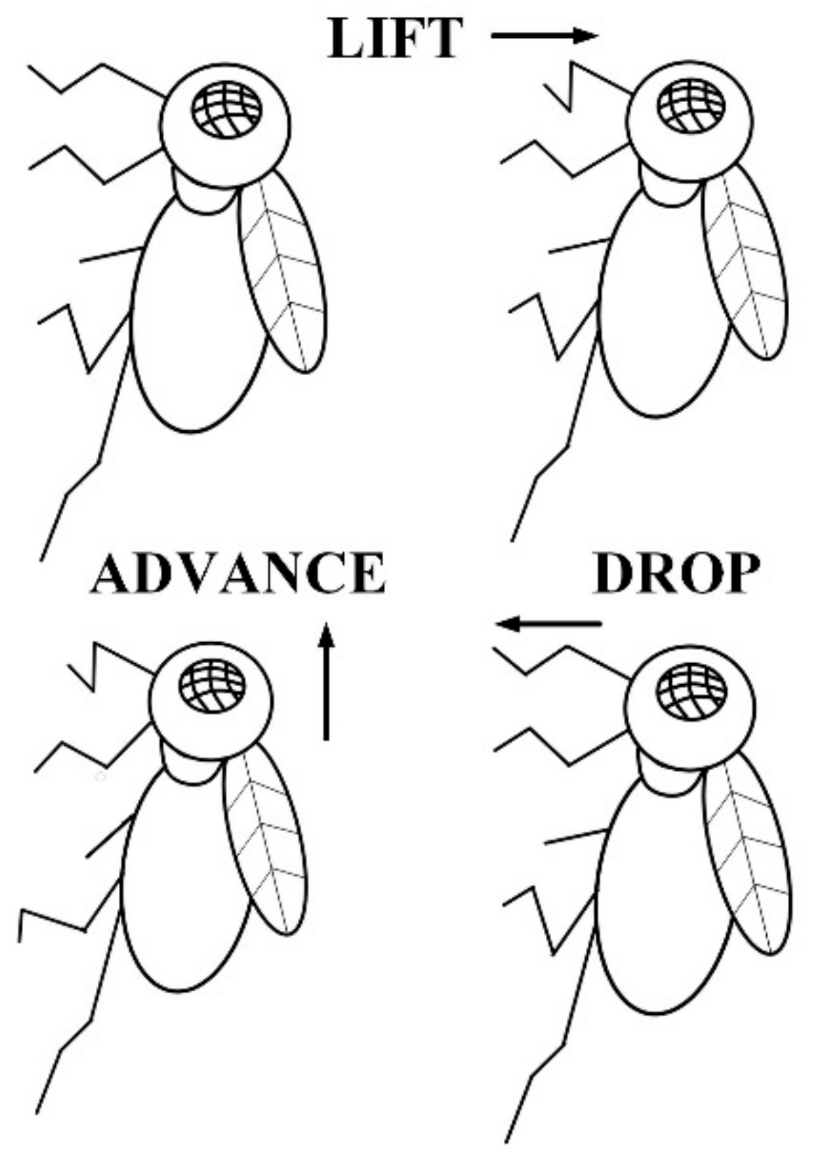 Machines 10 00632 g001