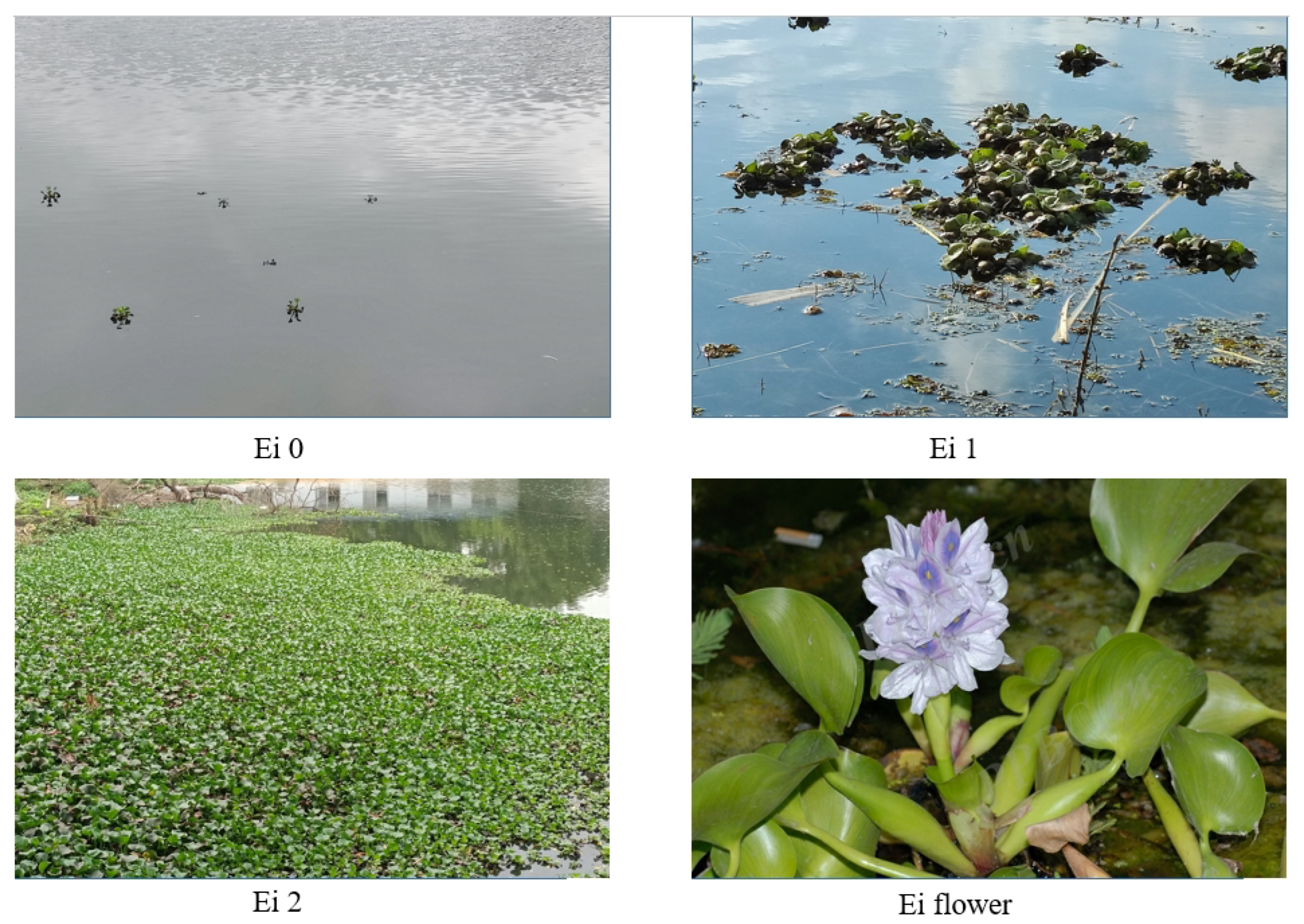 Machines 10 00754 g010