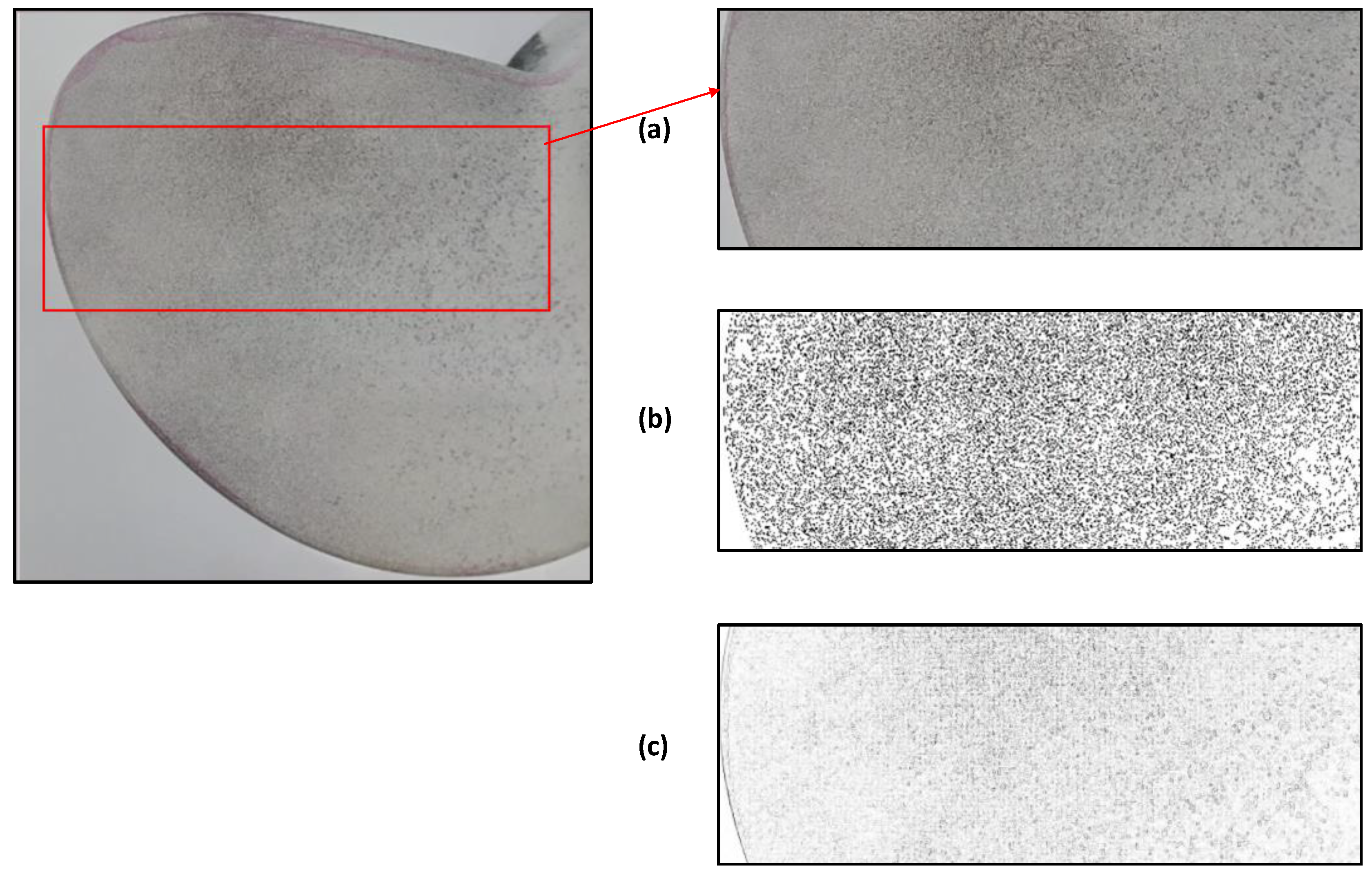 Machines 10 00793 g002 Machines 10 00793 g002