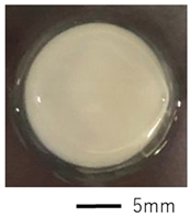 Machines 11 00103 i006 Machines 11 00103 i006