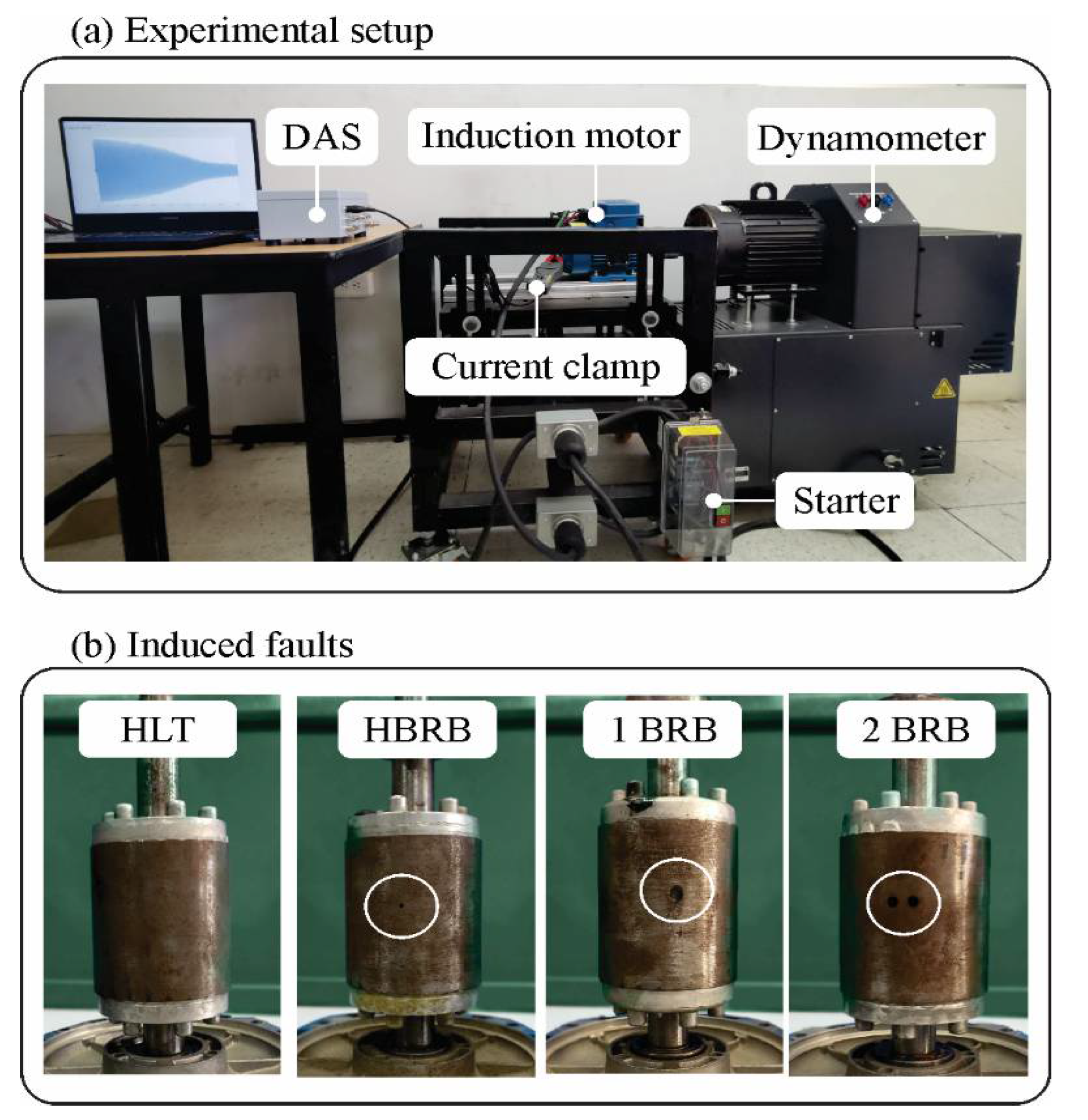 Machines 11 00156 g004