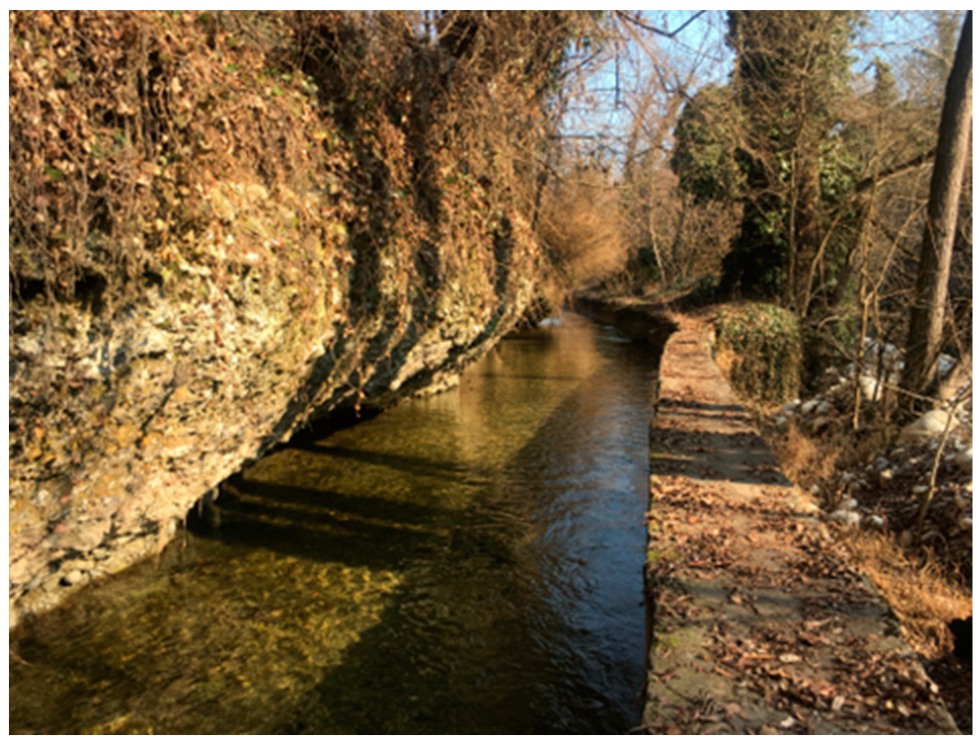 Machines 11 00180 g005