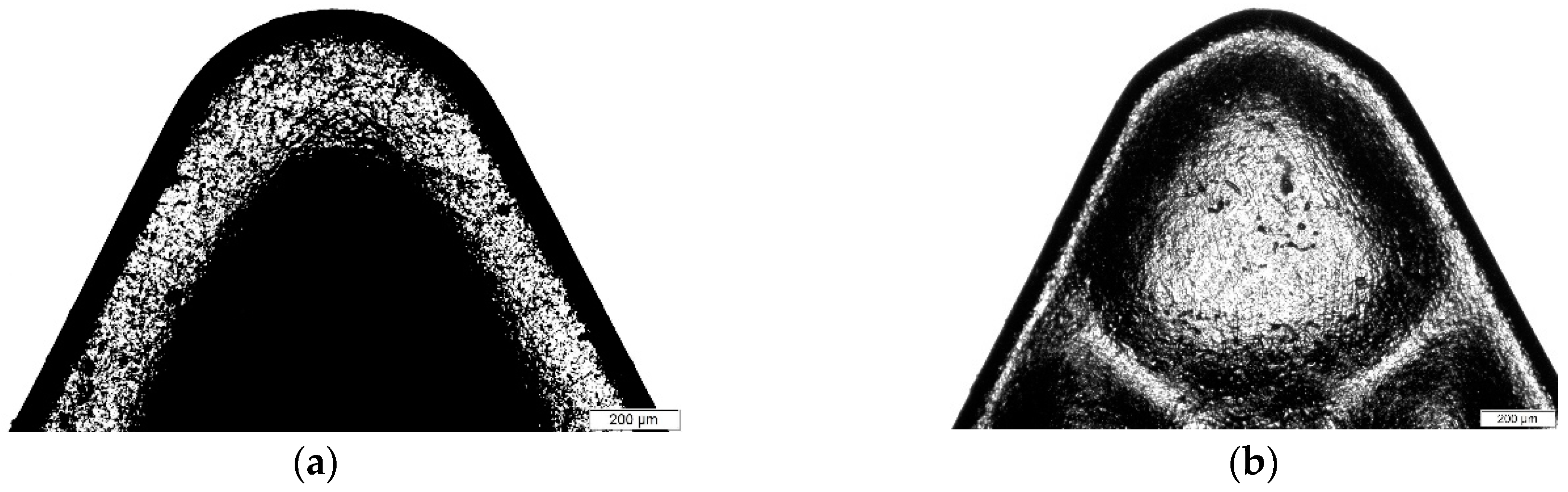 Machines 11 00397 g003