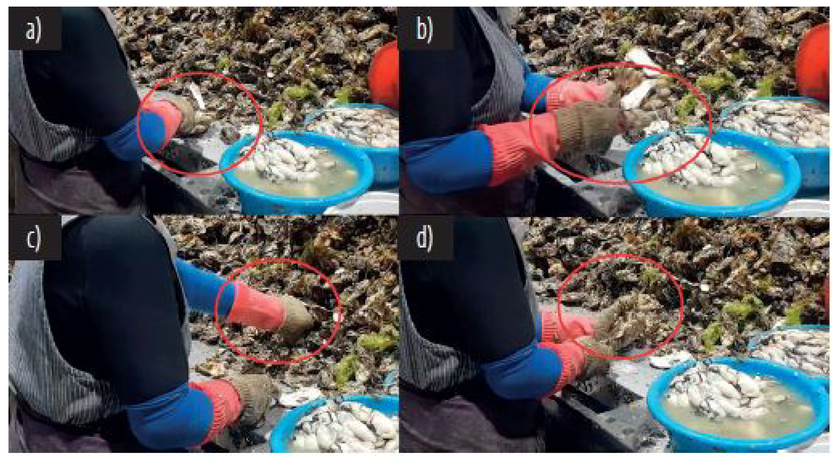 Machines 11 00458 g010