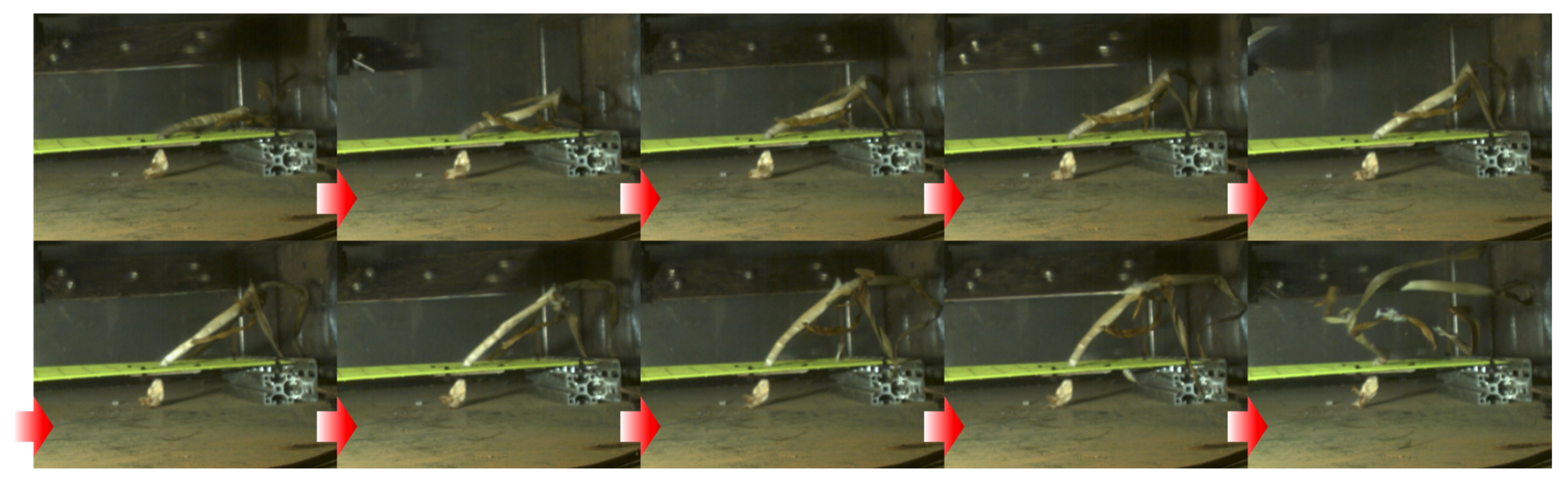 Machines 11 00508 g005