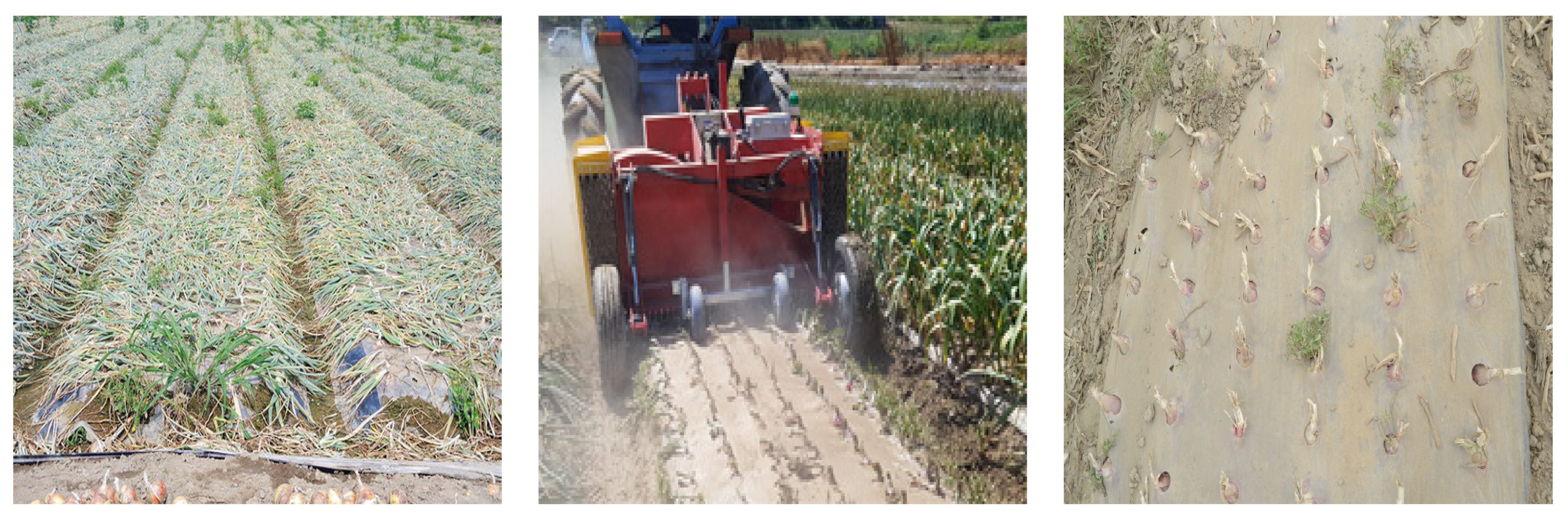 Machines 11 00508 g006