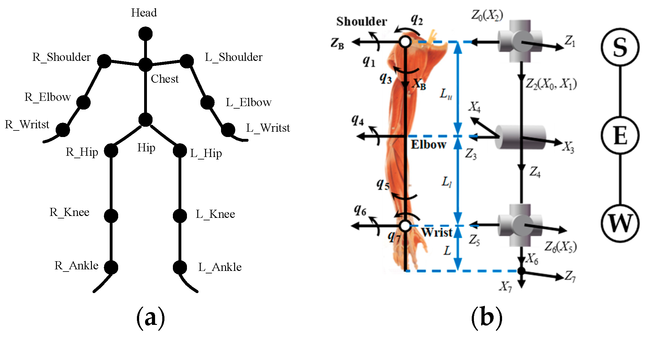 Machines 11 00533 g002