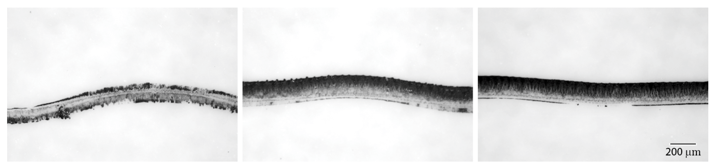 Machines 11 00618 g007