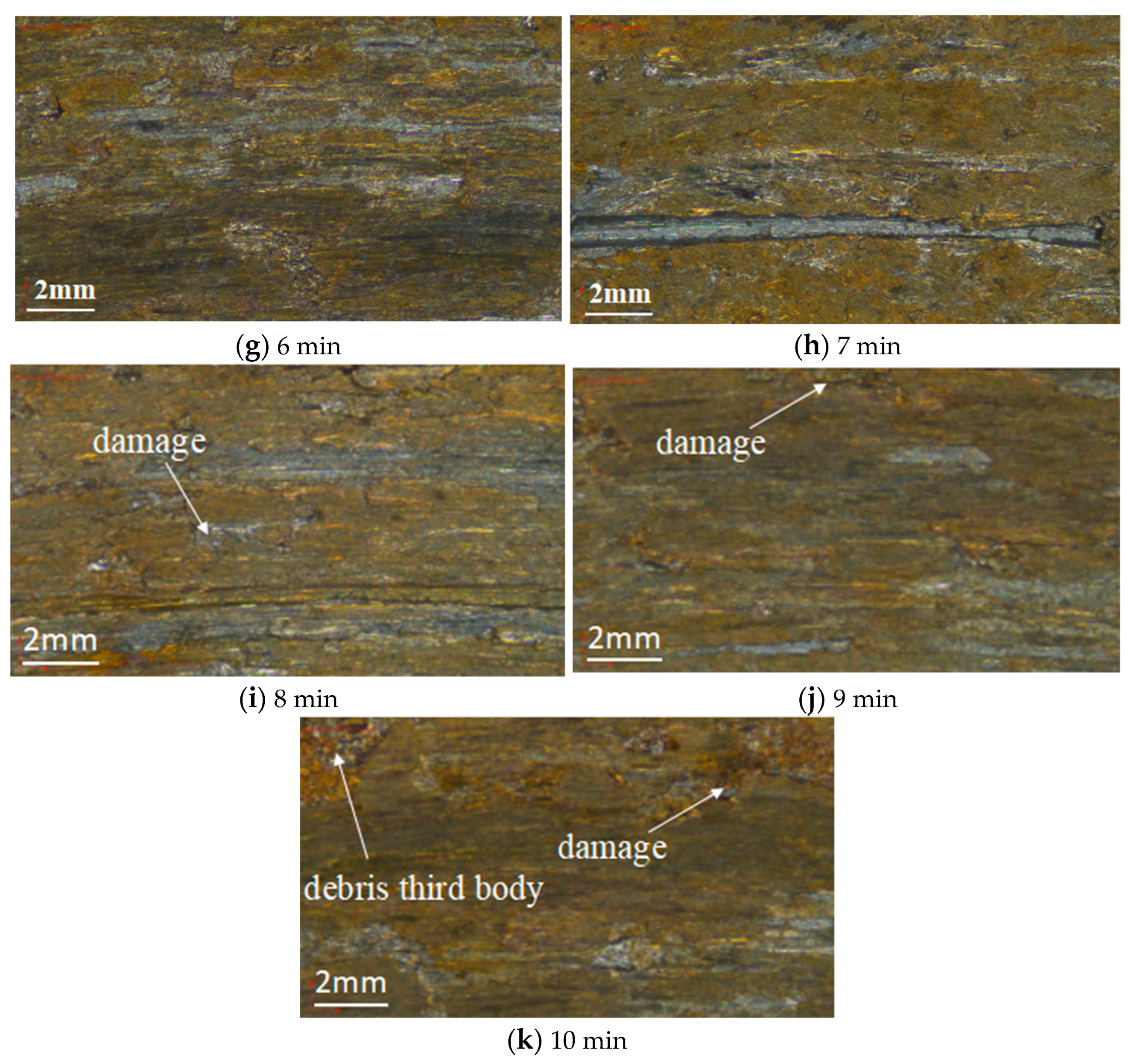 Machines 11 00660 g007b