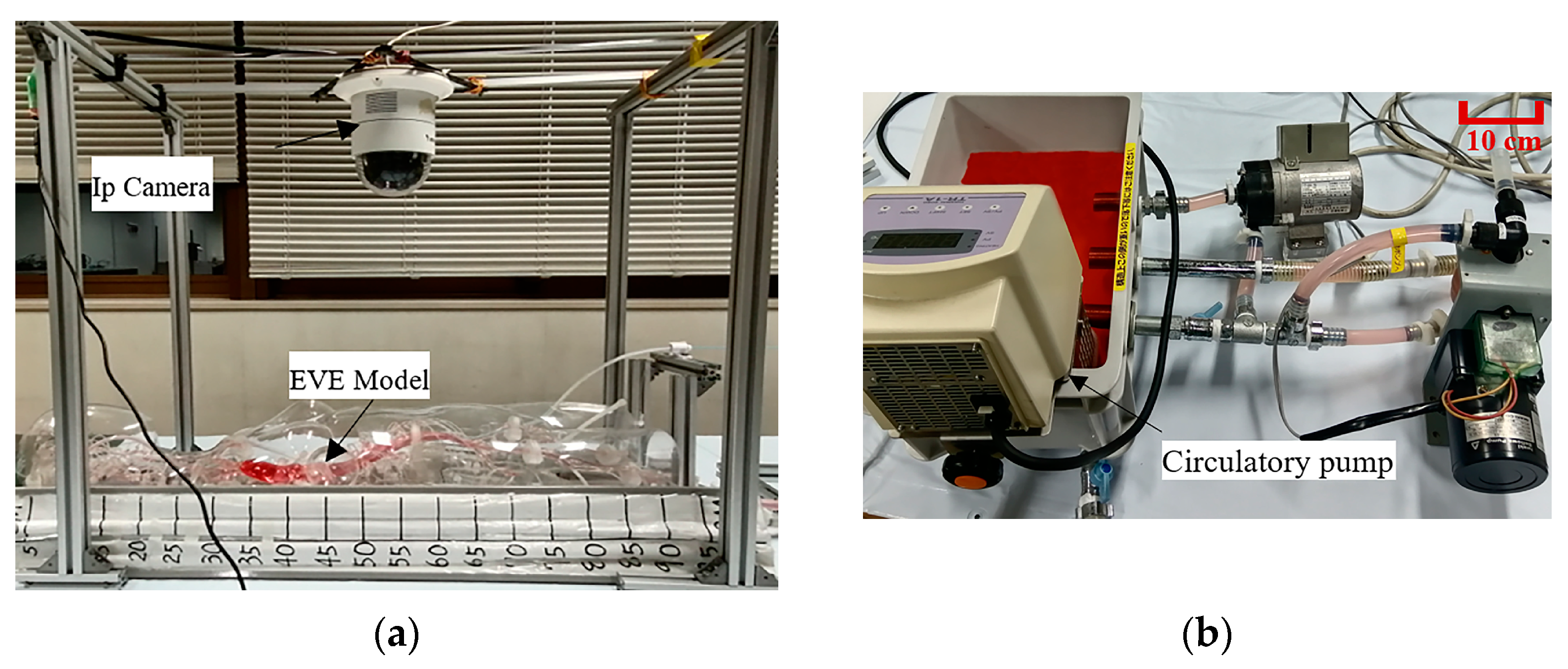 Machines 11 00727 g010