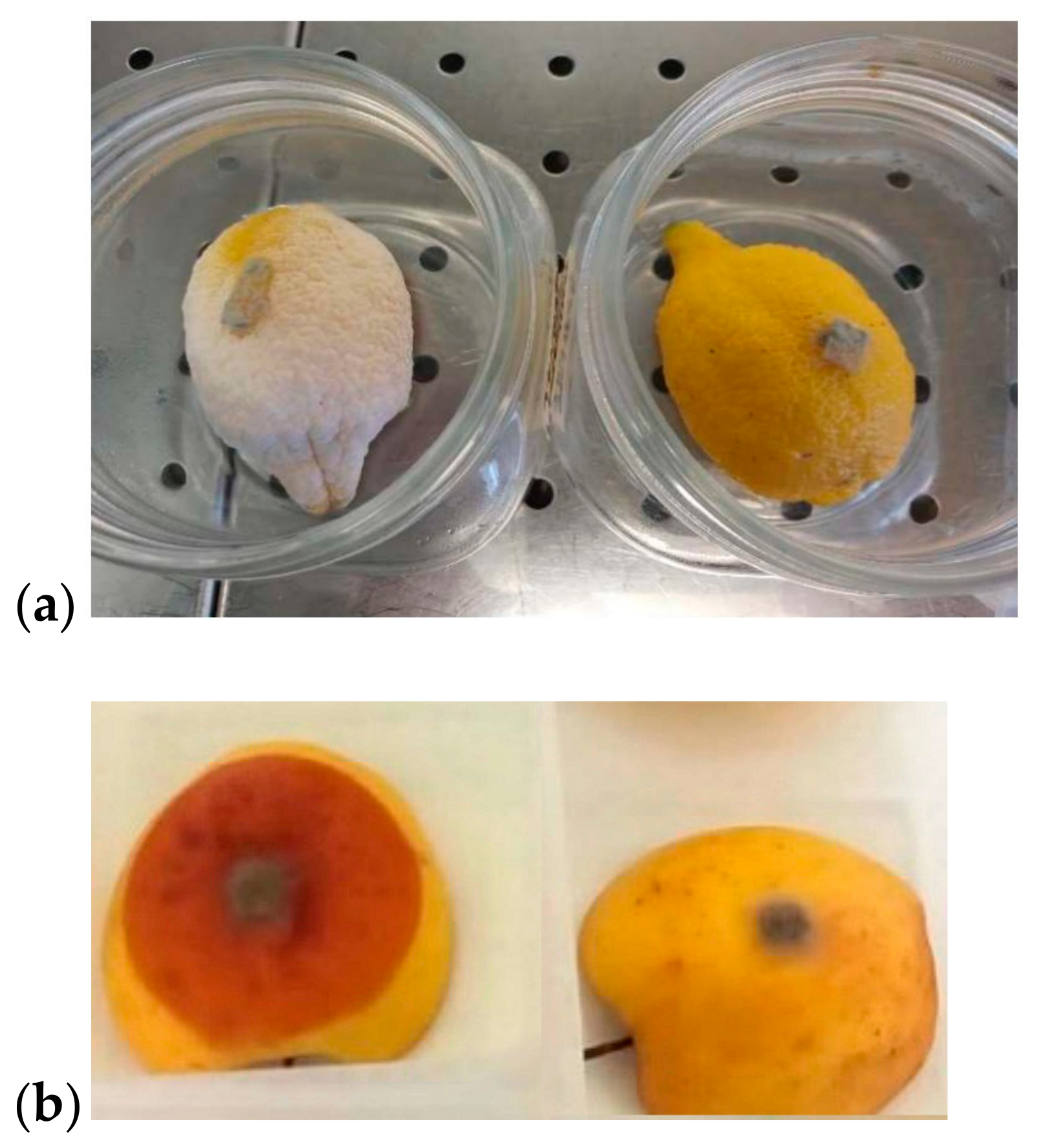 Machines 11 00792 g010