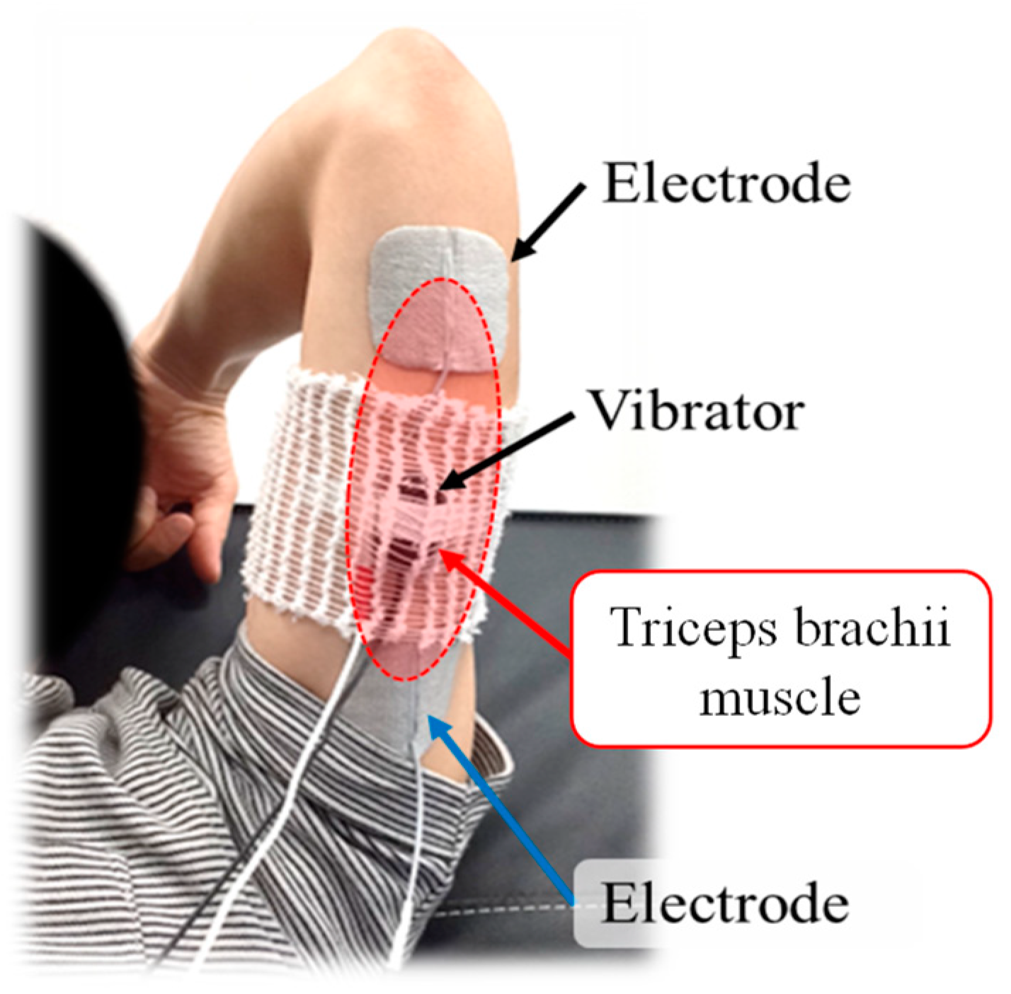 Machines 12 00085 g004