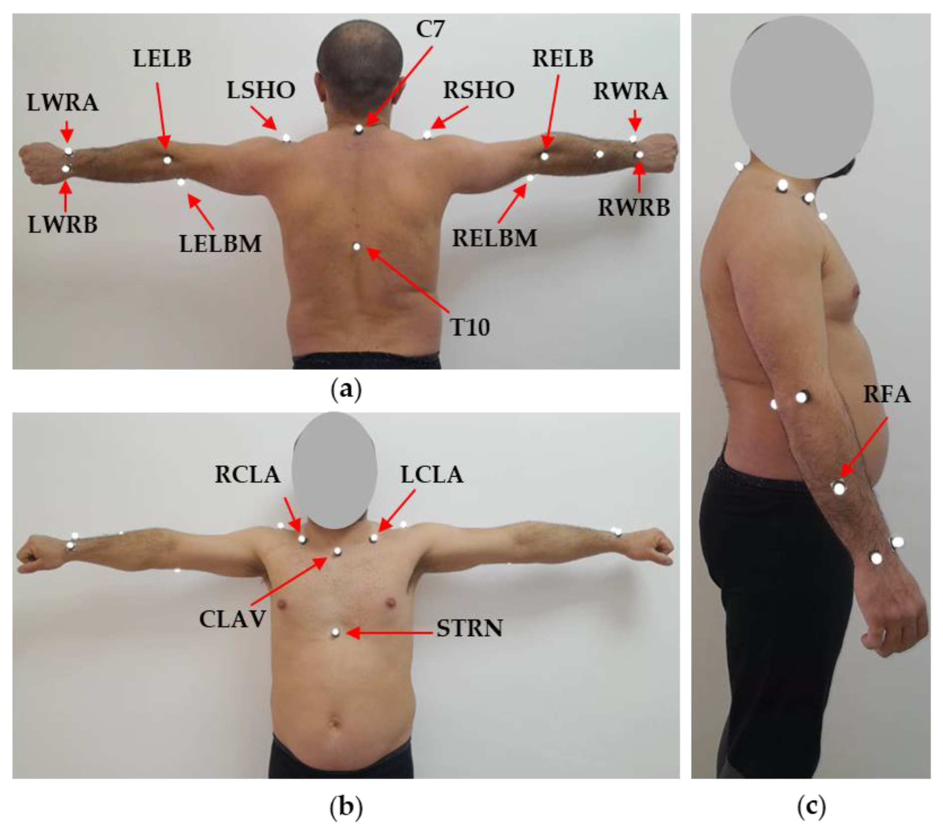 Machines 12 00388 g005