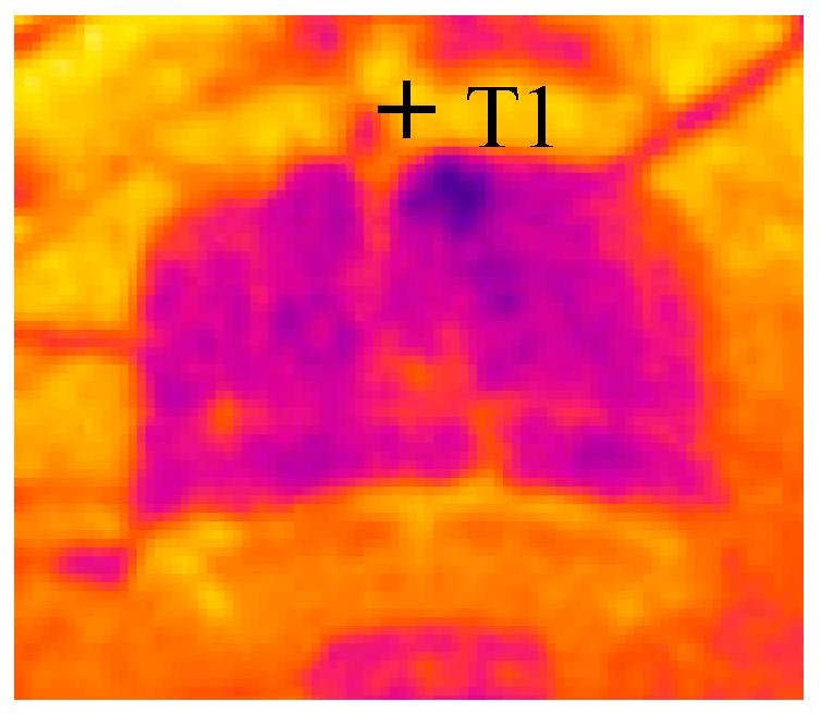 Machines 12 00509 g003