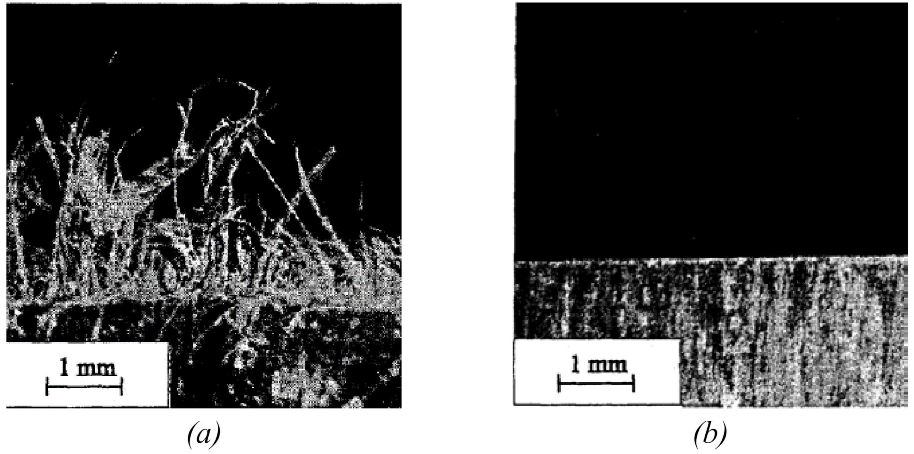 Machines 12 00561 g004