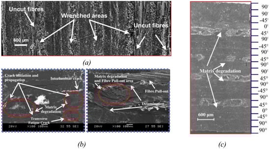 Machines 12 00561 g005
