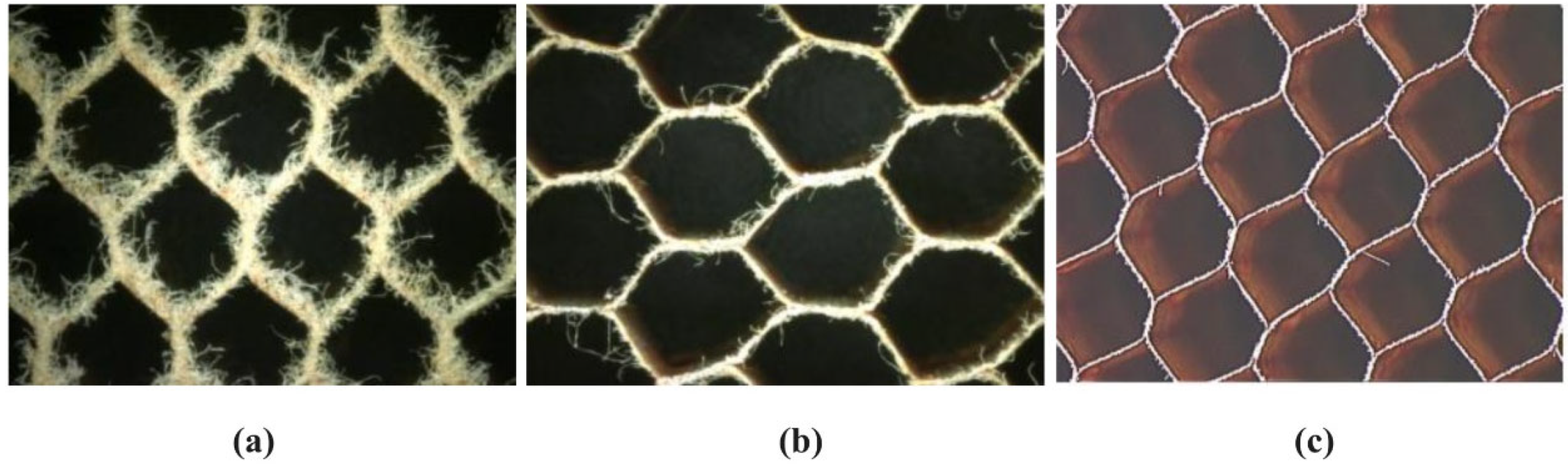 Machines 12 00561 g006