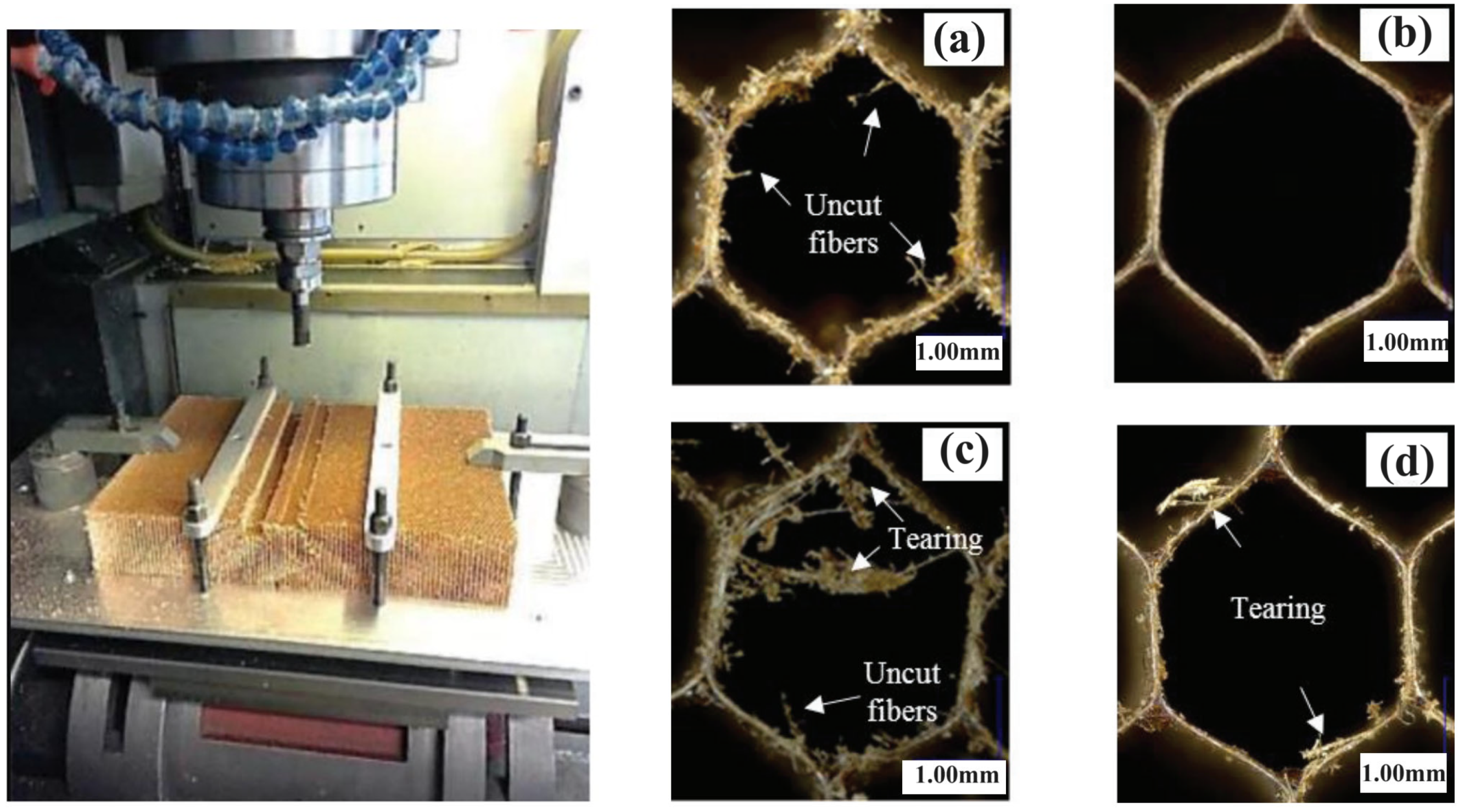 Machines 12 00561 g007