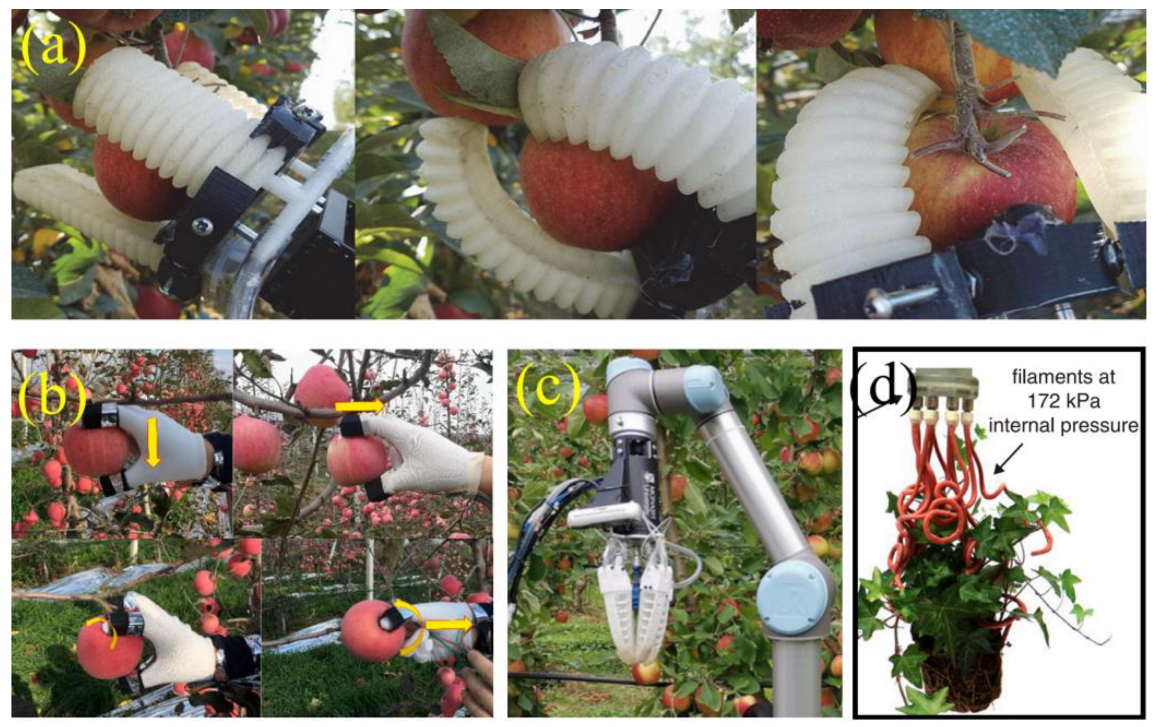 Machines 13 00055 g002