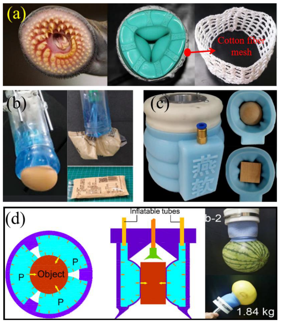 Machines 13 00055 g005