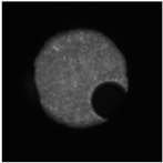 Machines 13 00154 i001