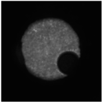 Machines 13 00154 i003